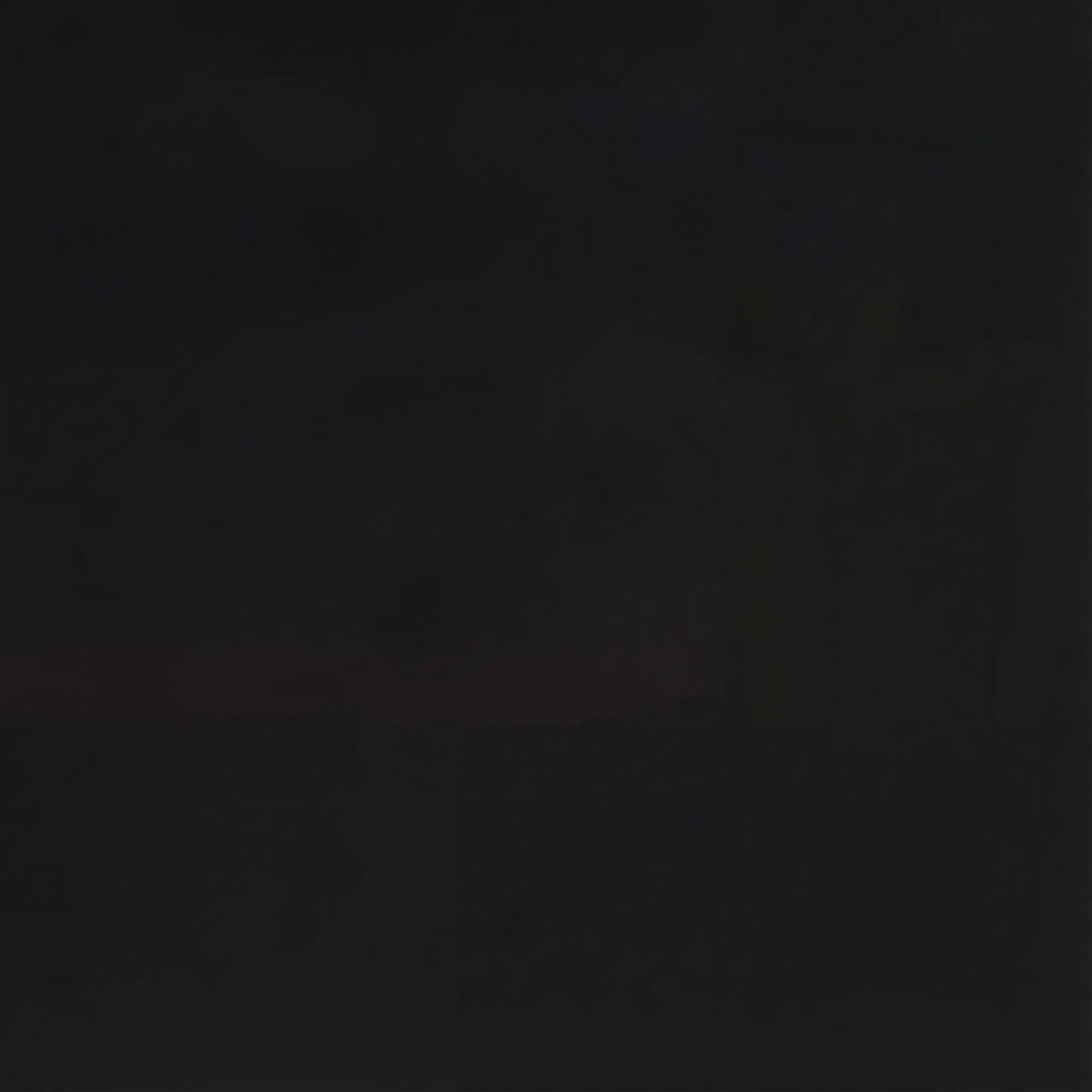 Nautica Erkek Siyah Standart Fit Baskılı T-Shirt