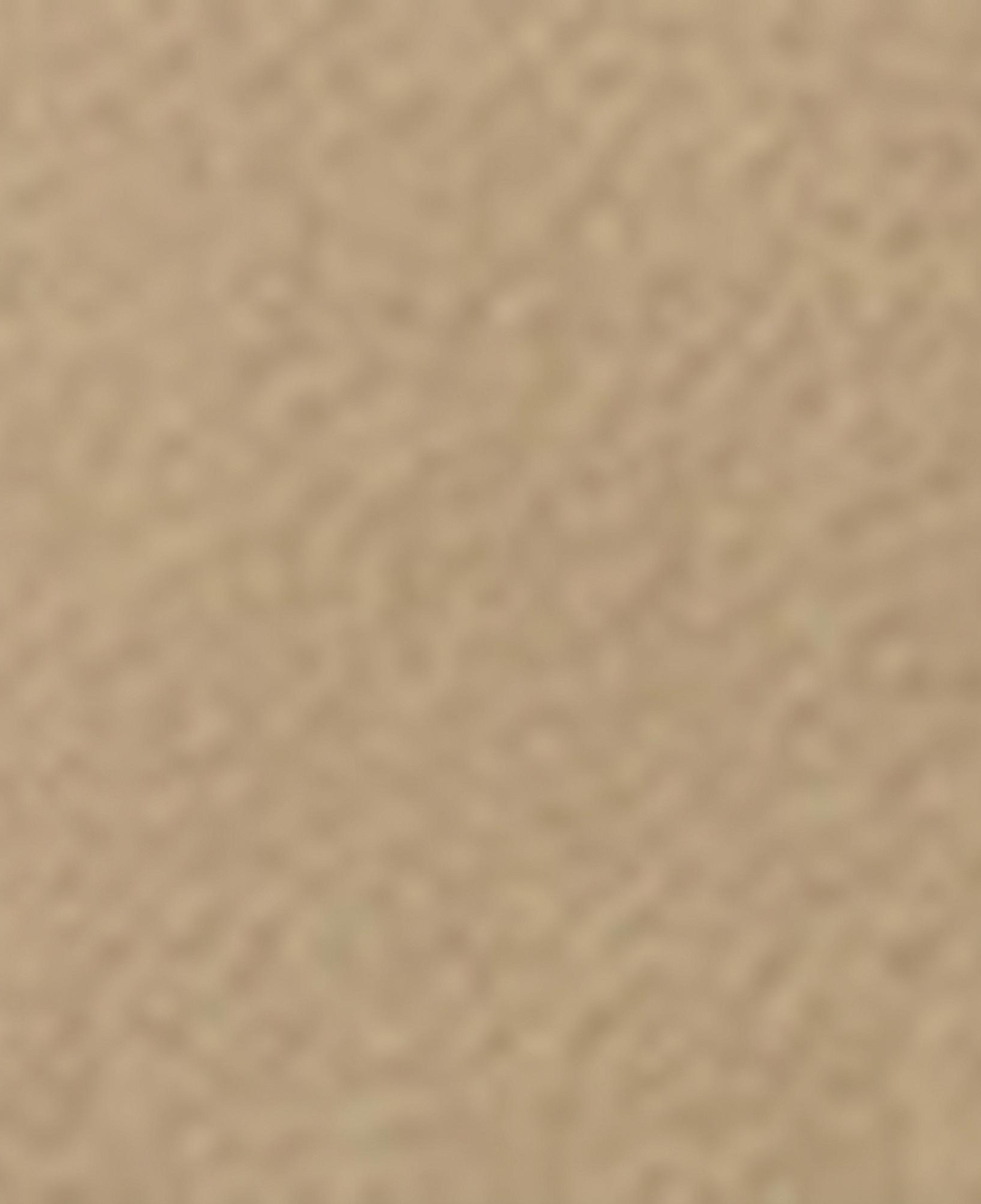 Nautica Erkek Bej Jogger Şort