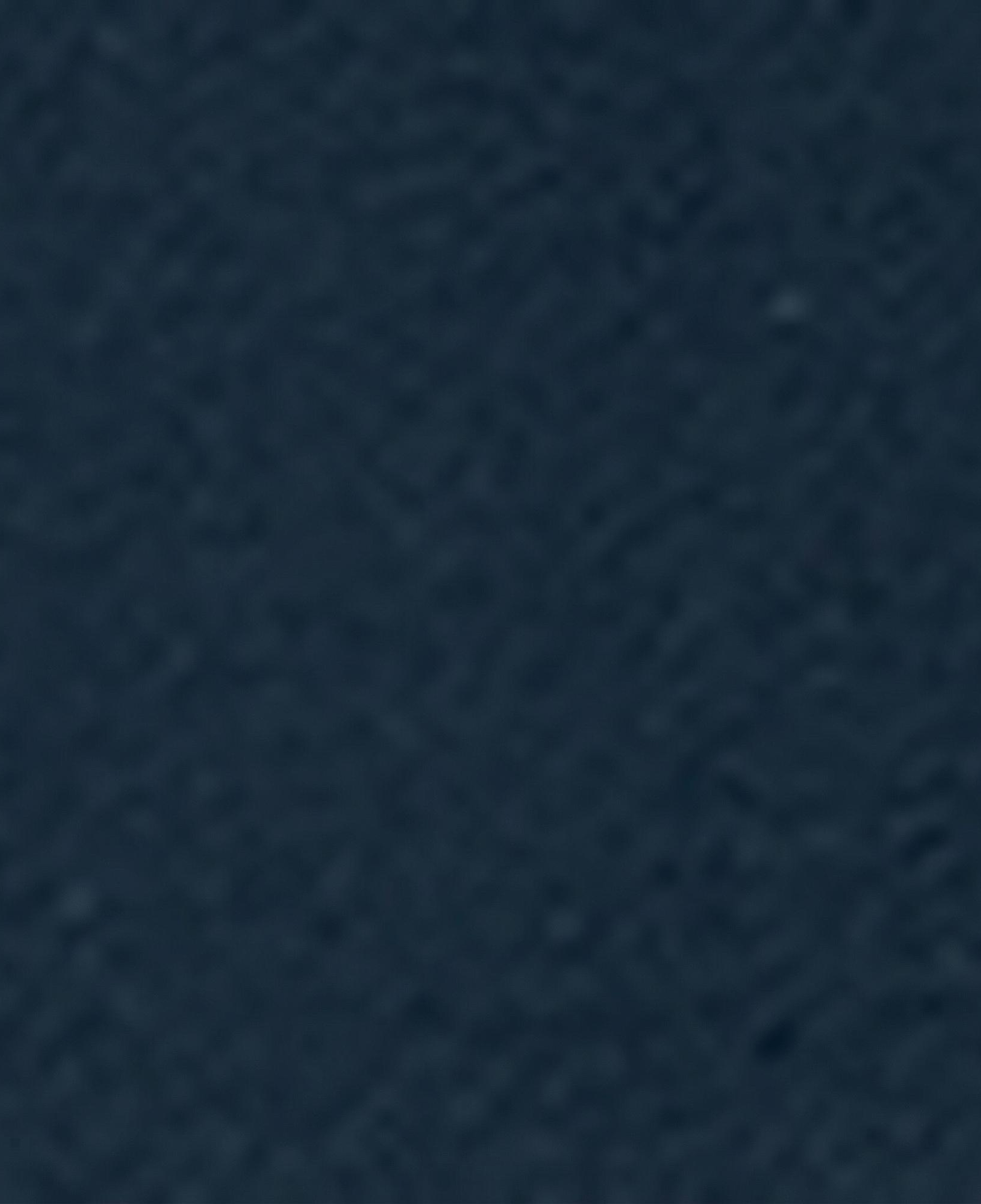 Nautica Kadın Lacivert Regular Fit Eşofman Altı