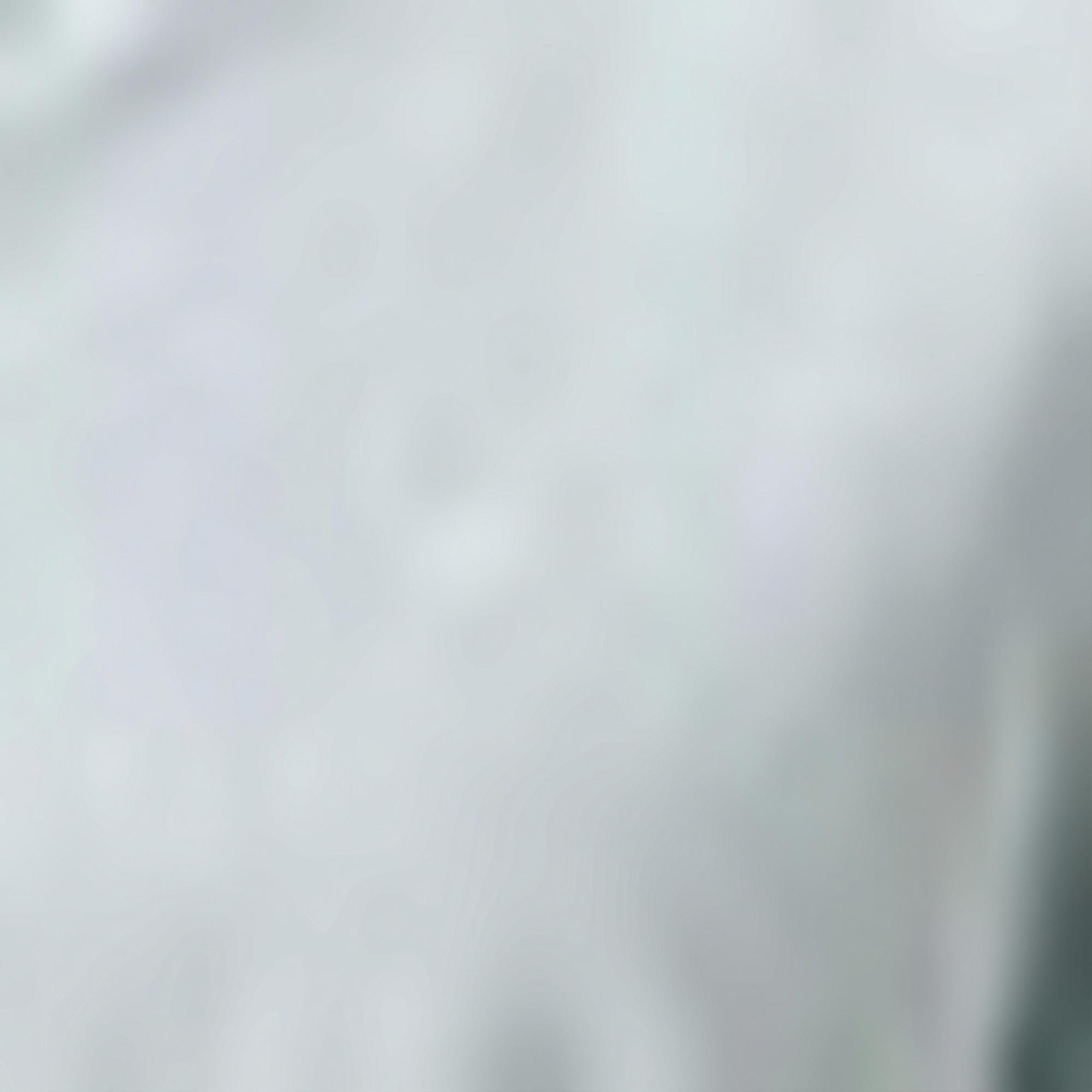 Nautica Kadın Yeşil Regular Fit Çizgili Gömlek