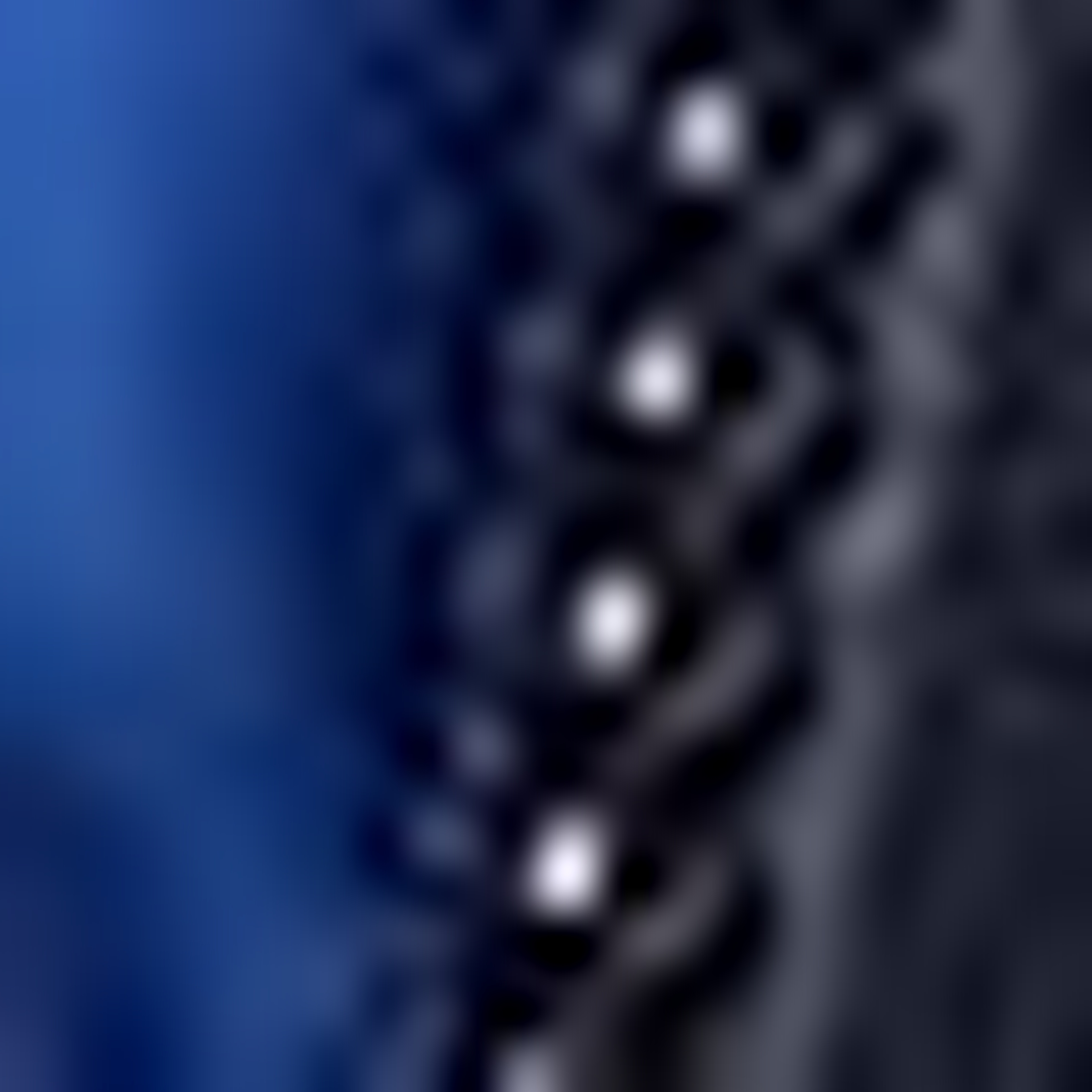 Nautica Erkek Lacivert Regular Fit Çift Taraflı Mont