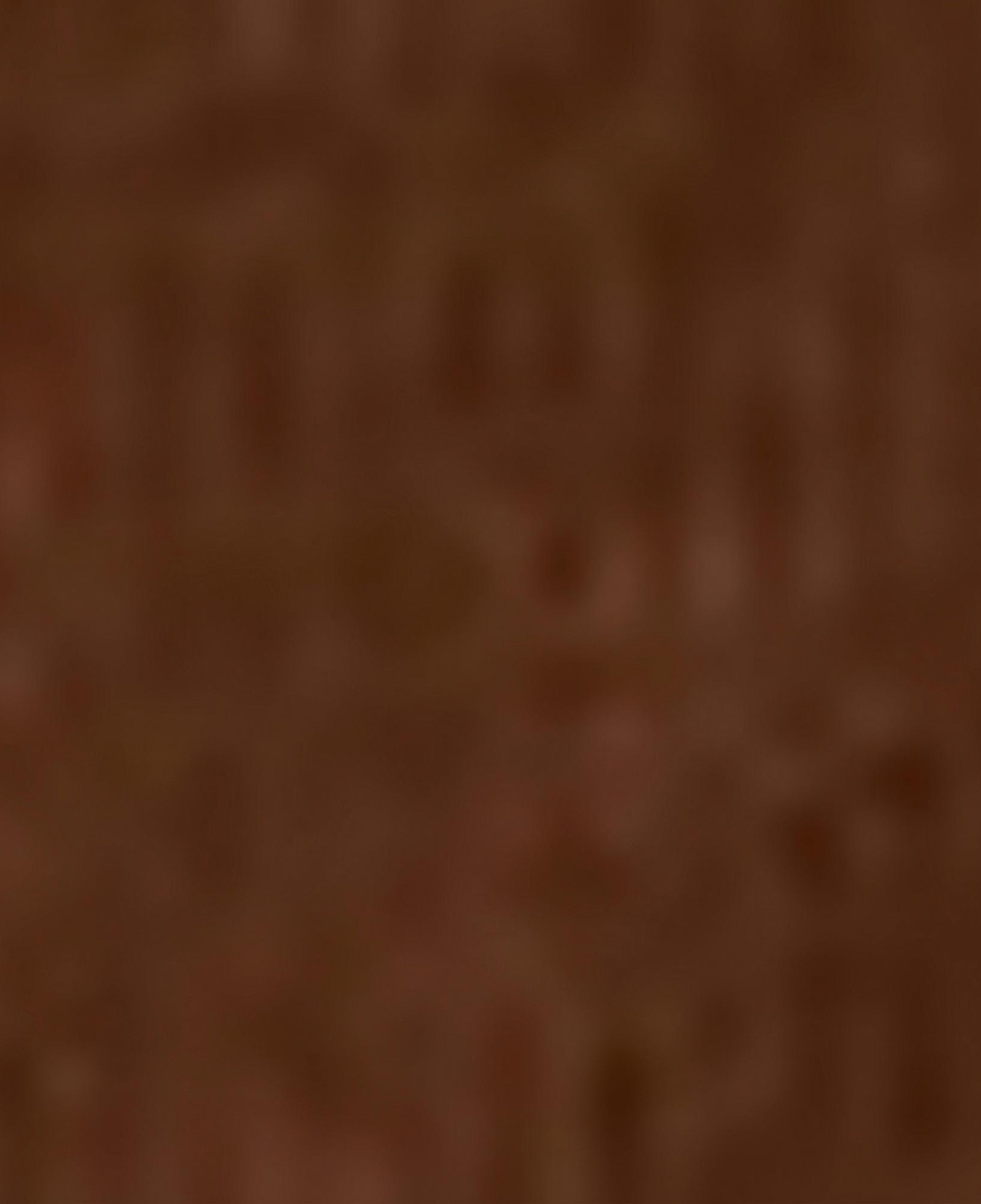 Nautica Erkek Kahverengi Classic Fit Gömlek