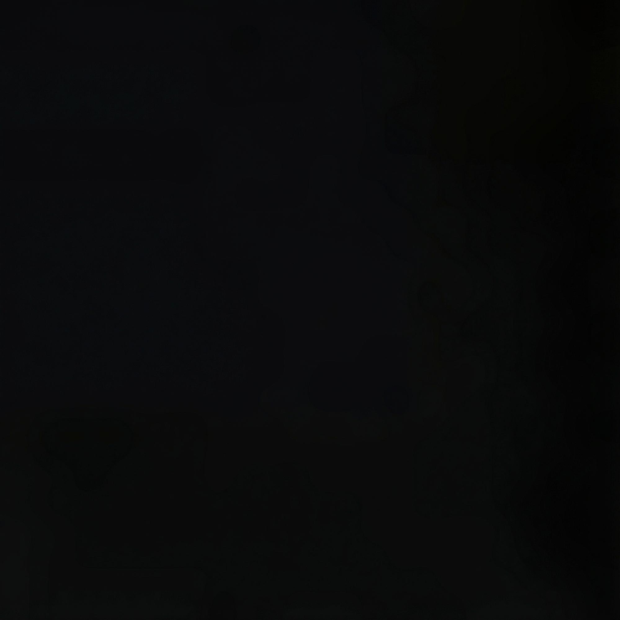 Nautica Erkek Siyah Jogger Şort