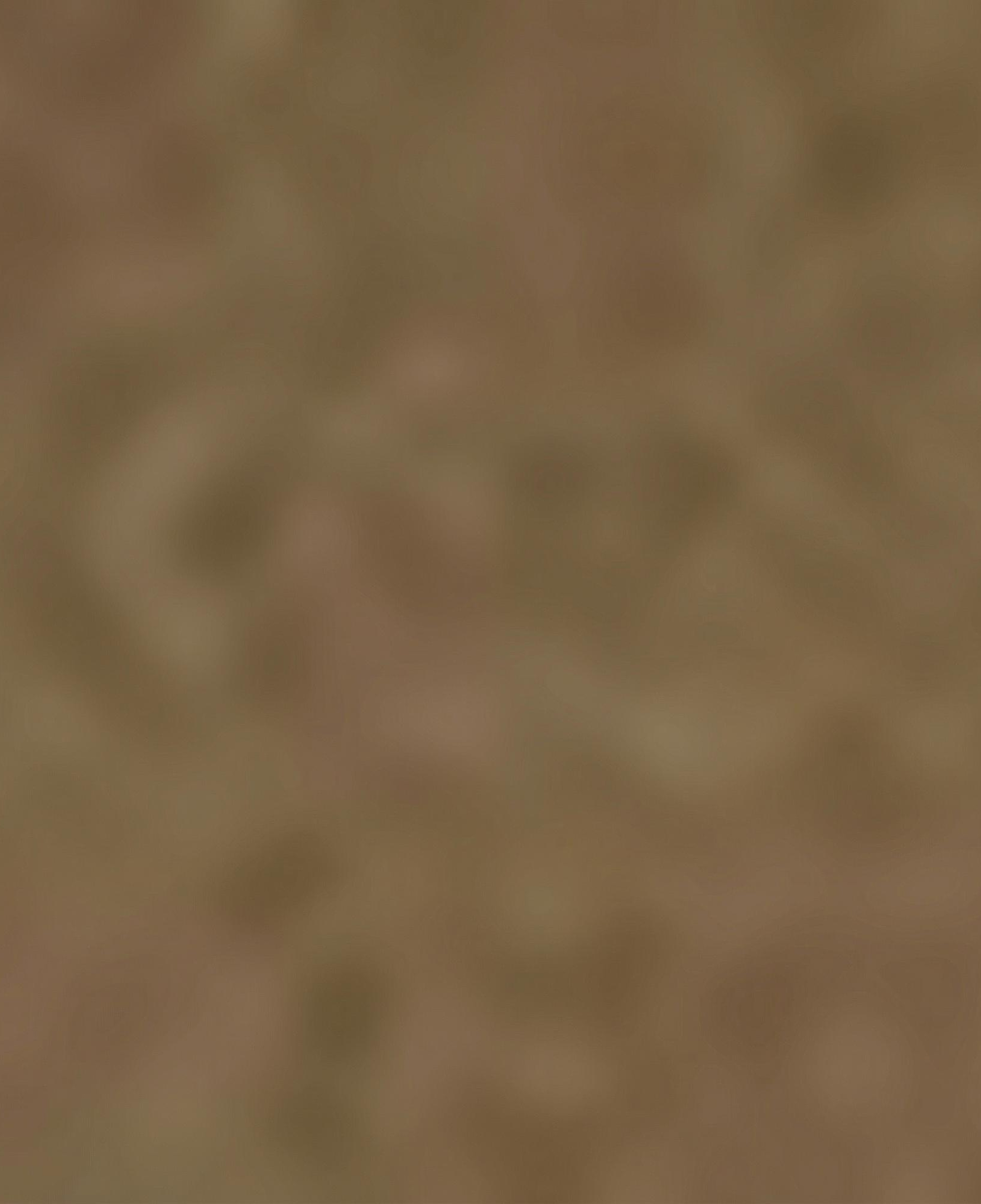 Nautica Kadın Kahverengi Regular Fit Pantolon