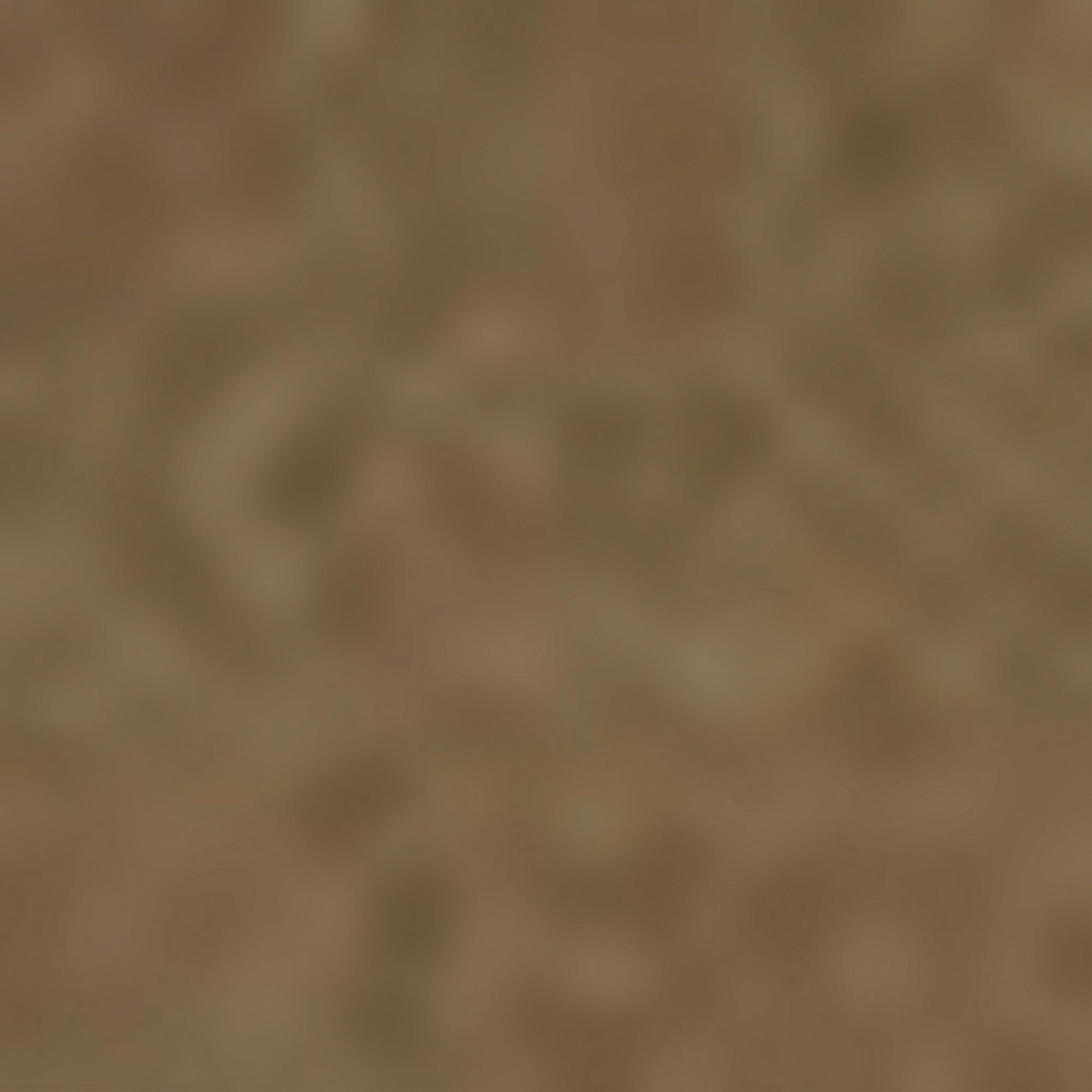 Nautica Kadın Kahverengi Regular Fit Pantolon