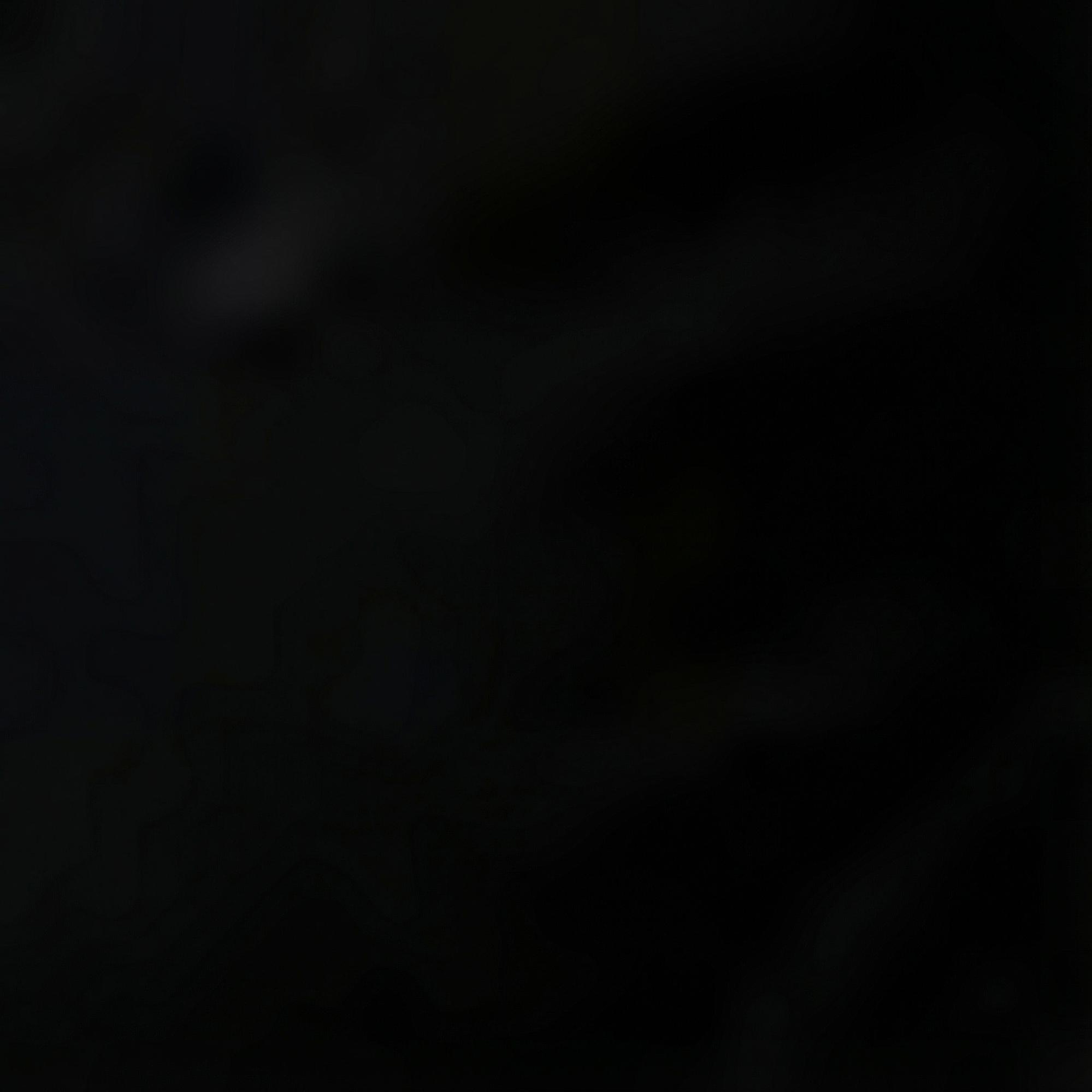 Nautica Kadın Siyah Slim Fit Polo Yaka T-Shirt