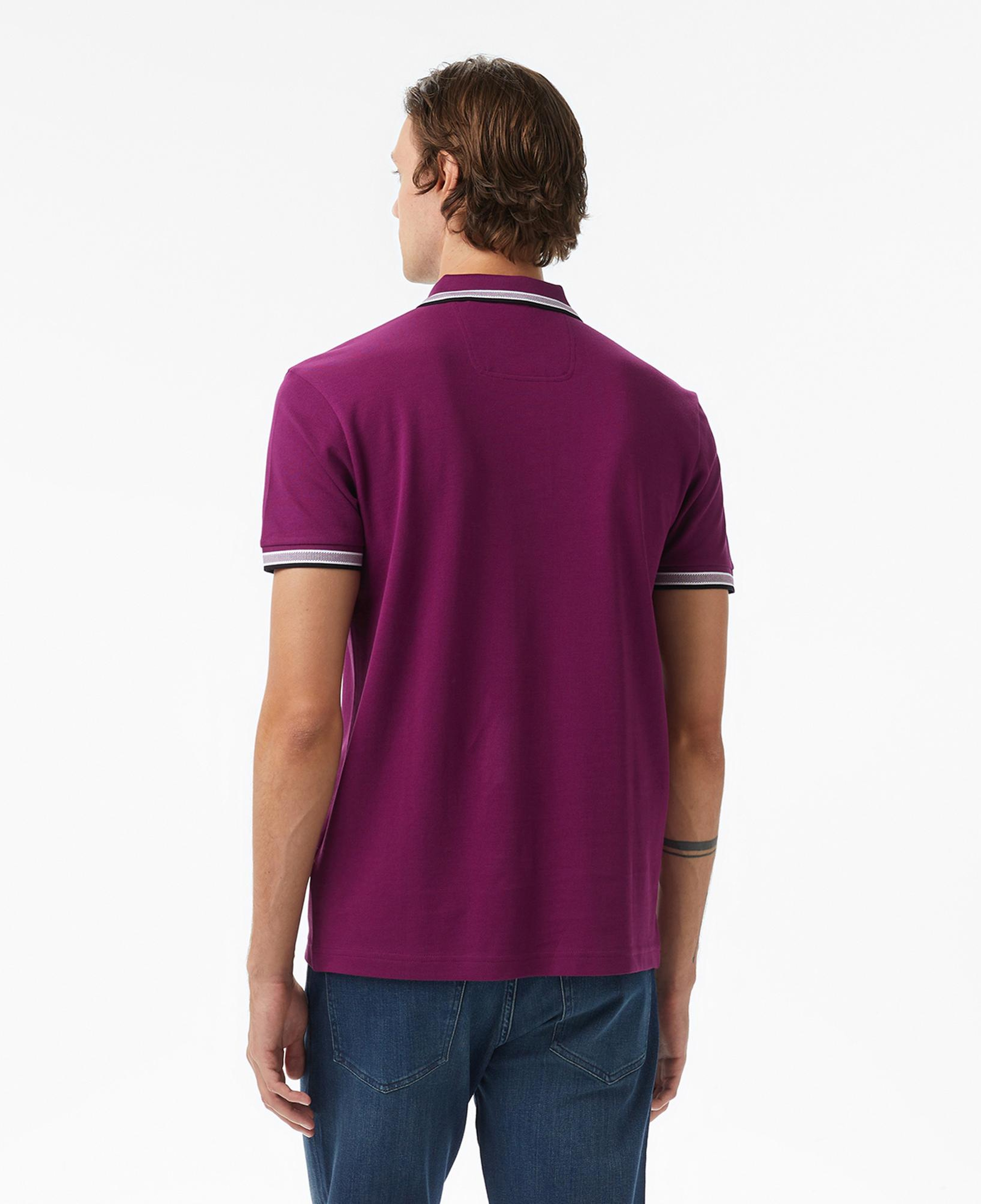 Boss Paddy Erkek Mor Polo