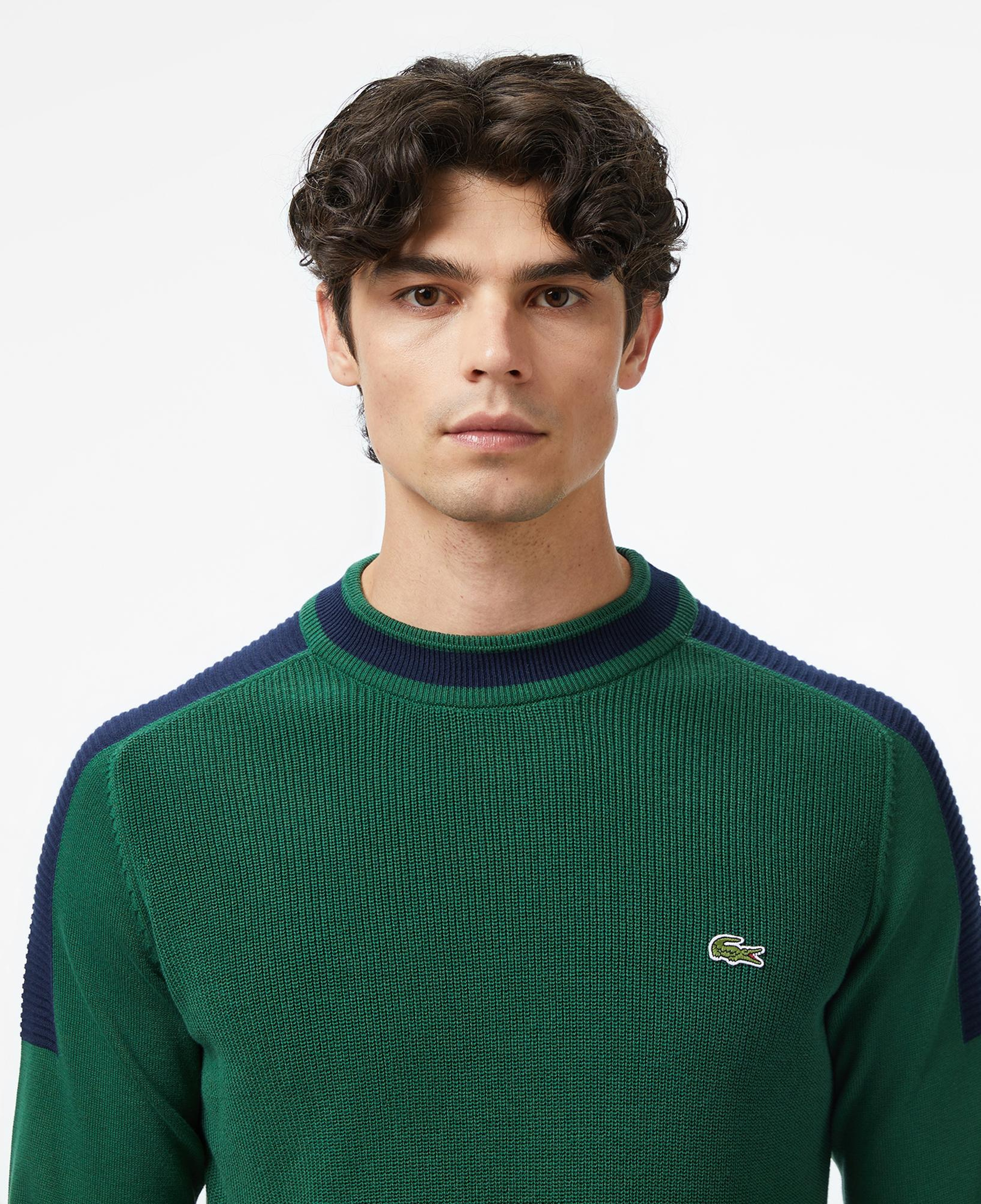 Lacoste Erkek Classic Fit Bisiklet Yaka Renk Bloklu Yeşil Kazak