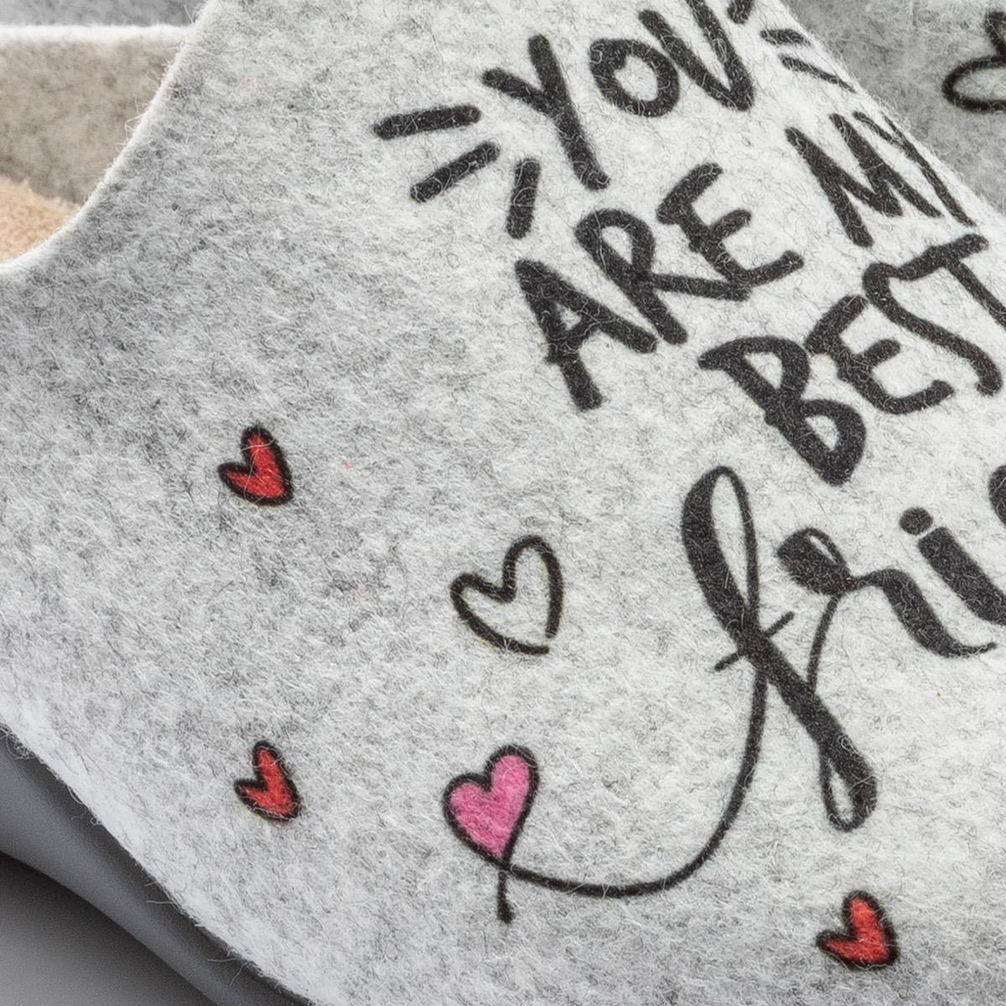 Best Friend Kadın Ev Terliği Gri 36/41