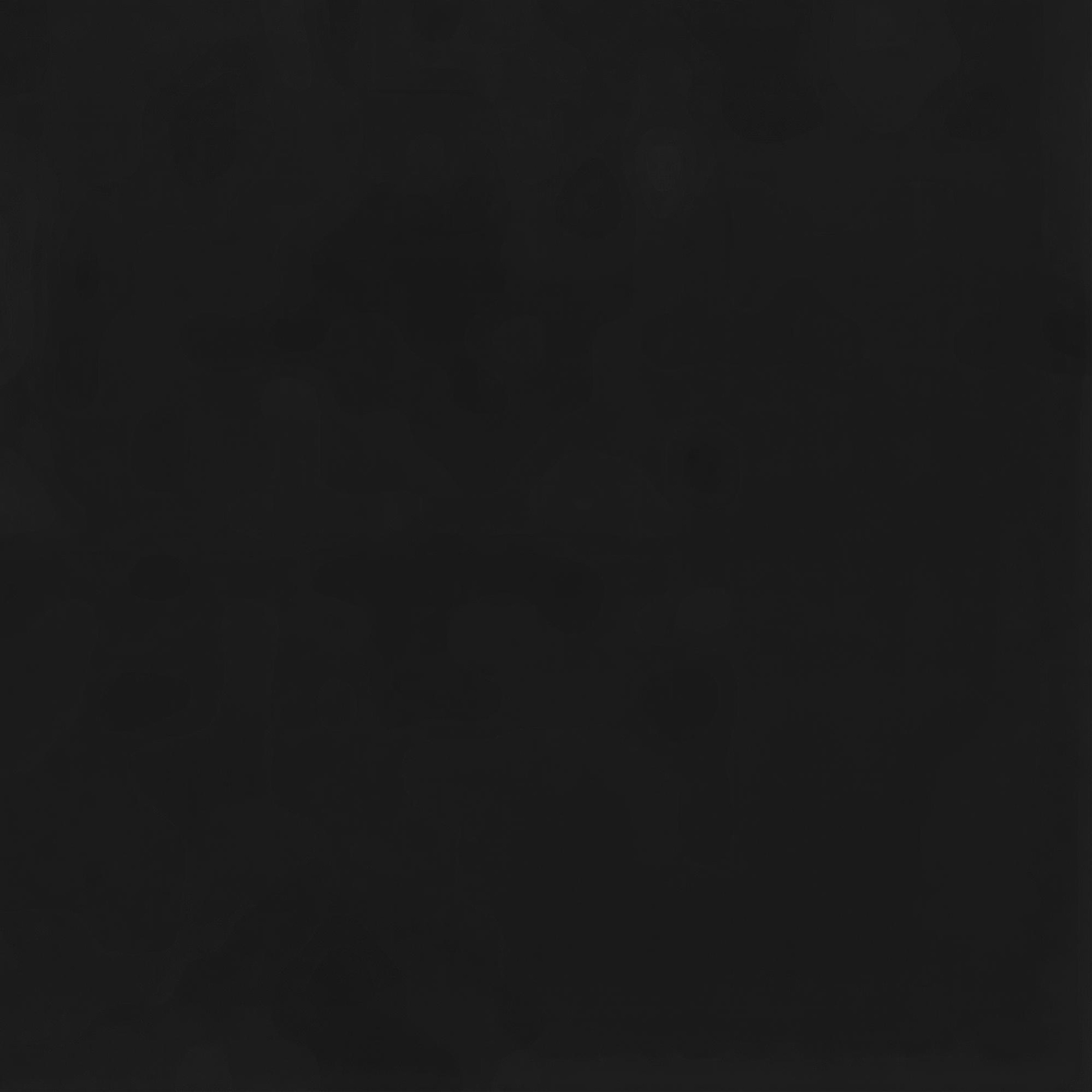 Nike Pro 365 Kadın Siyah Tayt