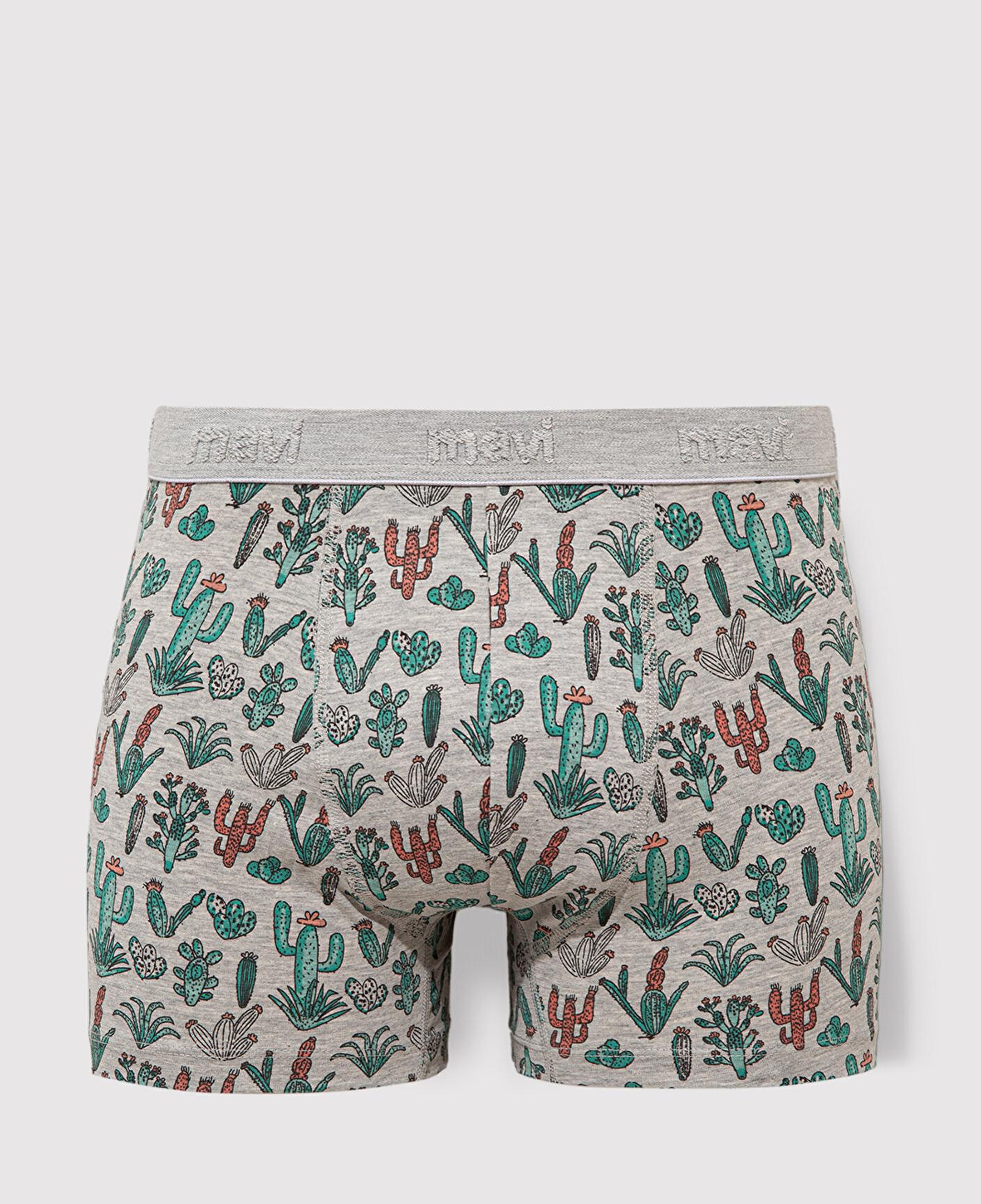 Mavi Kaktüs Baskılı Gri Boxer 091122-23854