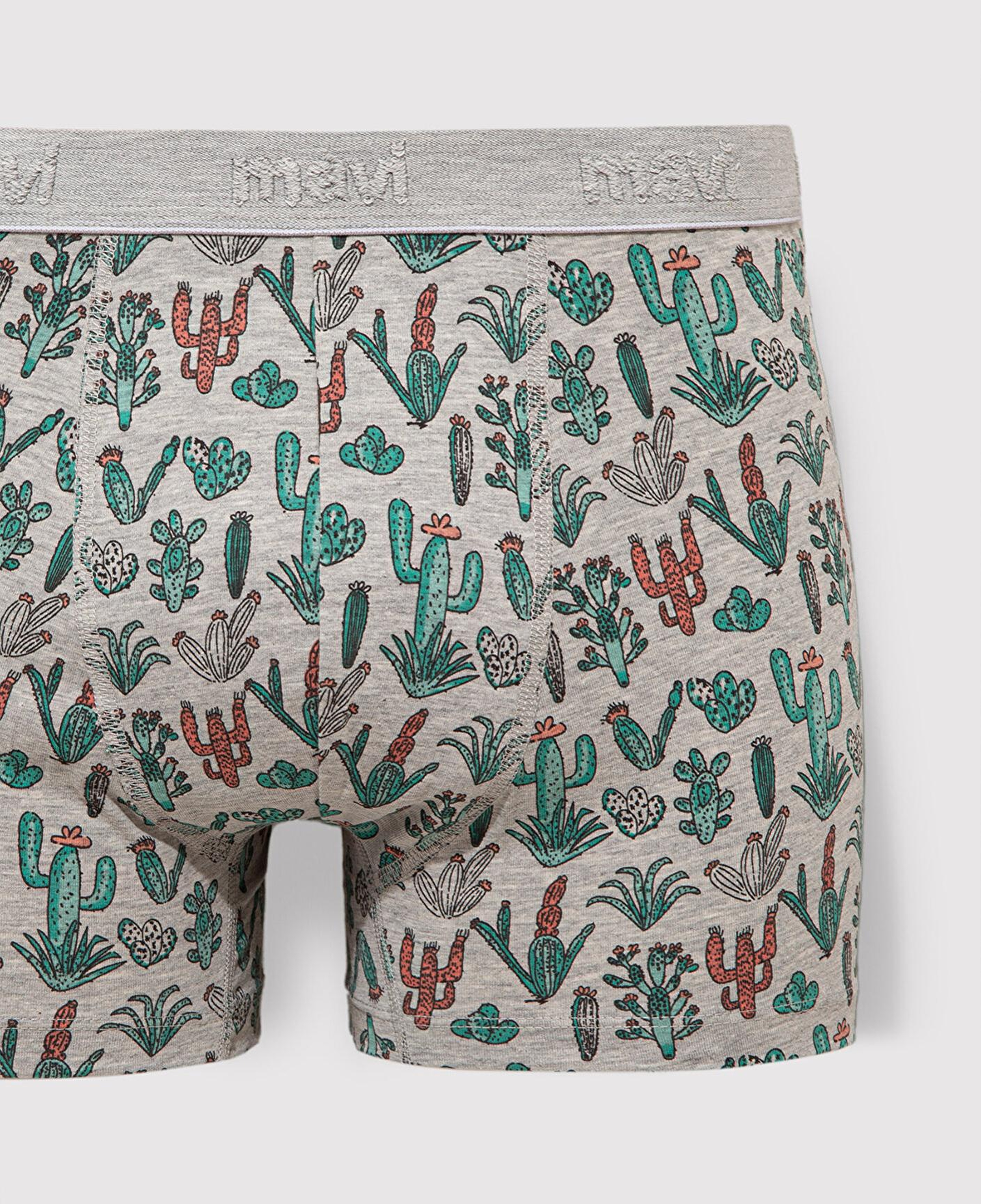 Mavi Kaktüs Baskılı Gri Boxer 091122-23854