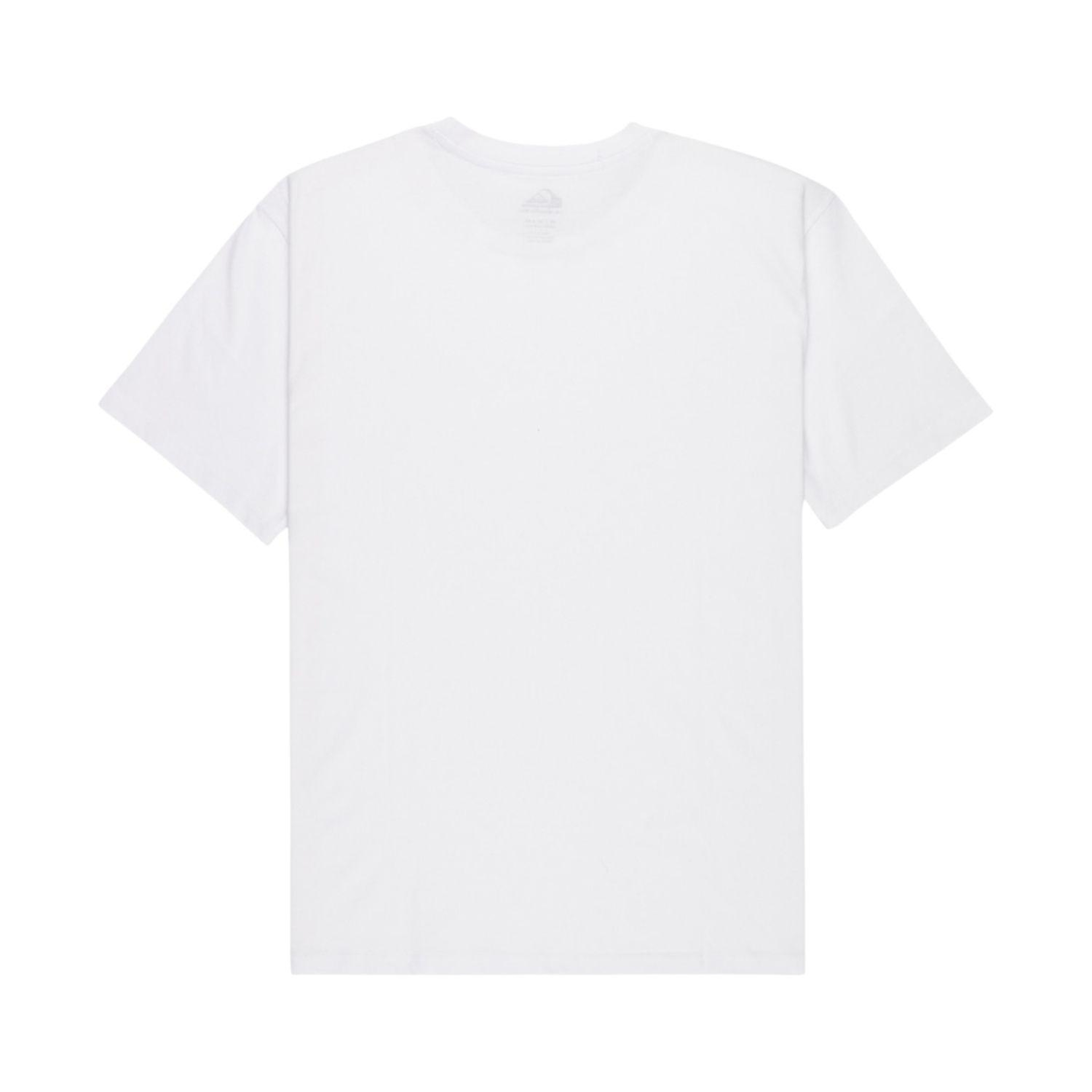 Quiksilver Basic Young Erkek Beyaz Tişört