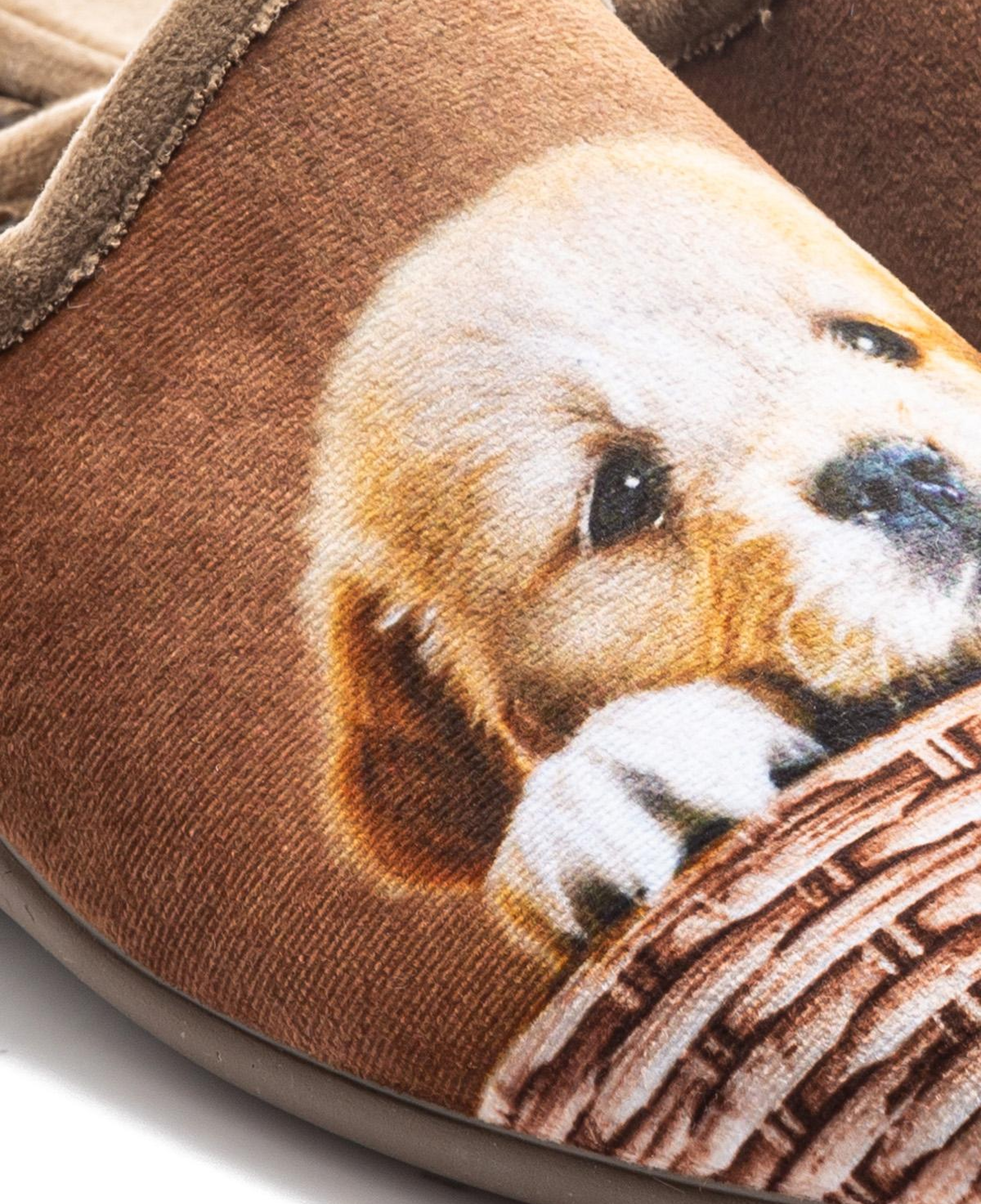 Felicita Kadın Ev Terliği Kahverengi 36/41