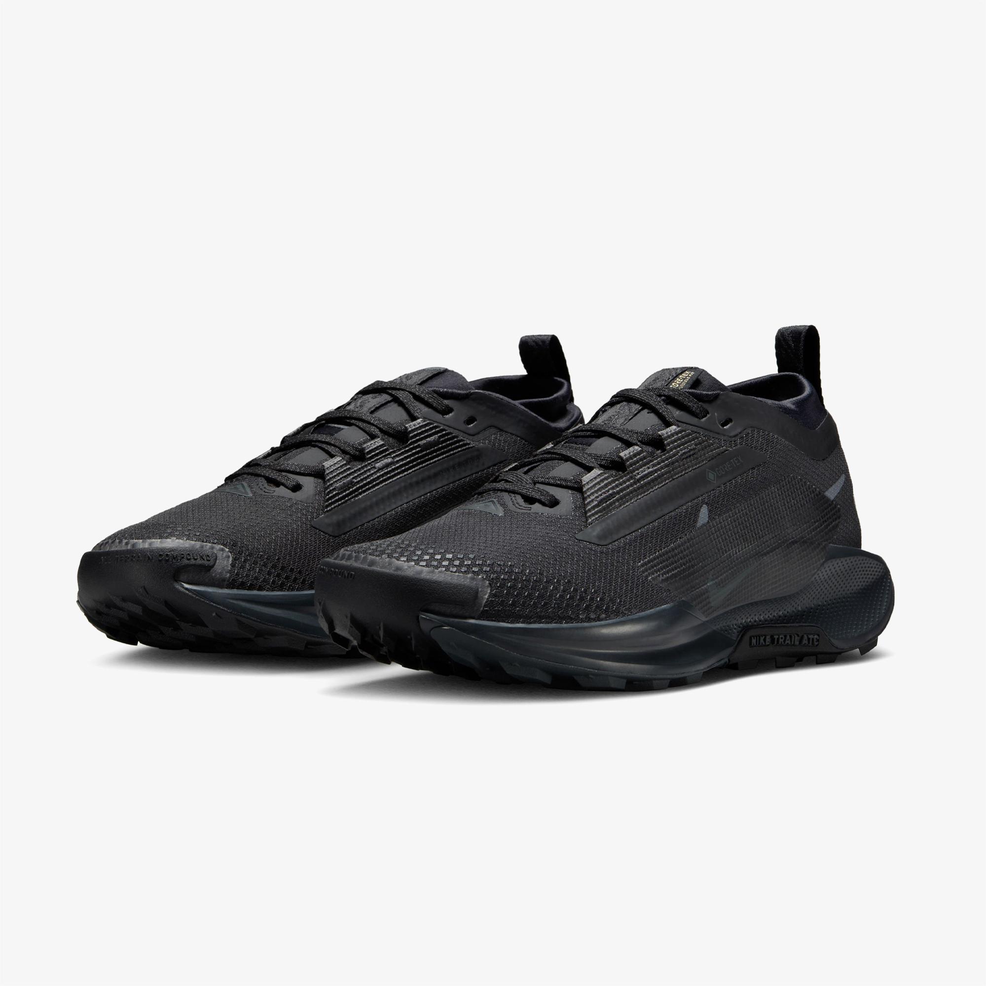 Nike Pegasus Trail 5 Gore-Tex Kadın Siyah Koşu Ayakkabısı