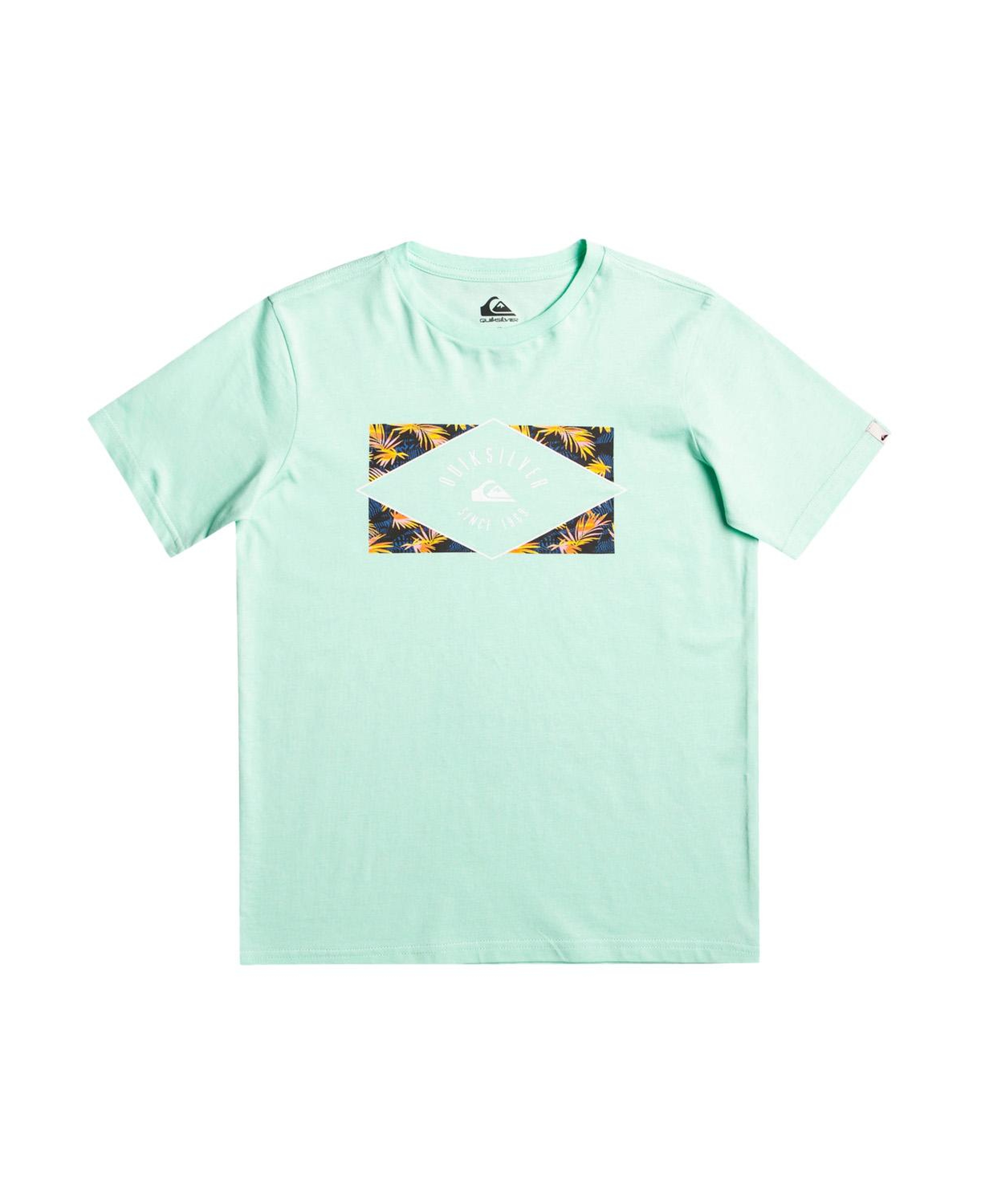 Quiksilver Circledline B Erkek Çocuk Renkli Tişört