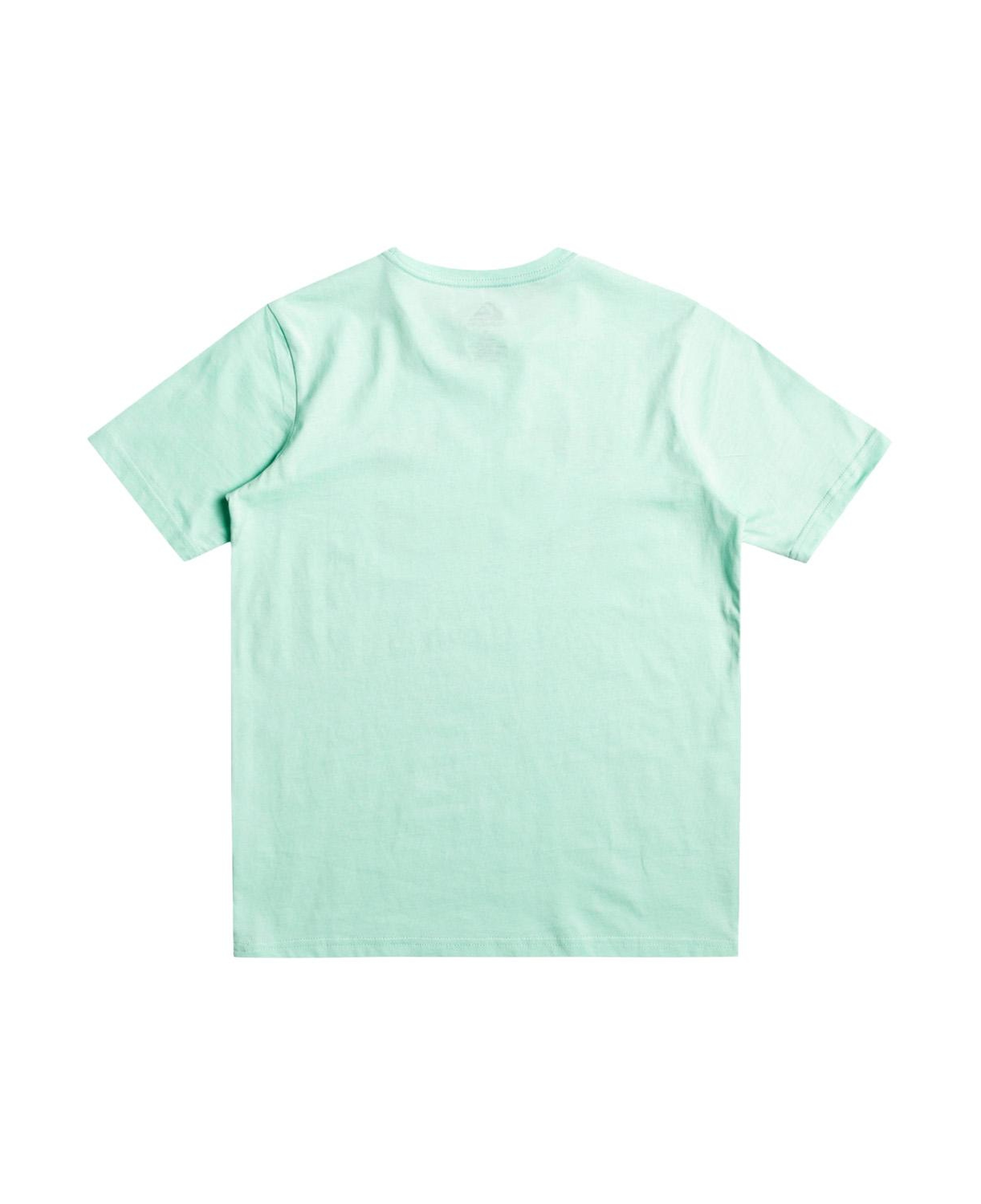 Quiksilver Circledline B Erkek Çocuk Renkli Tişört