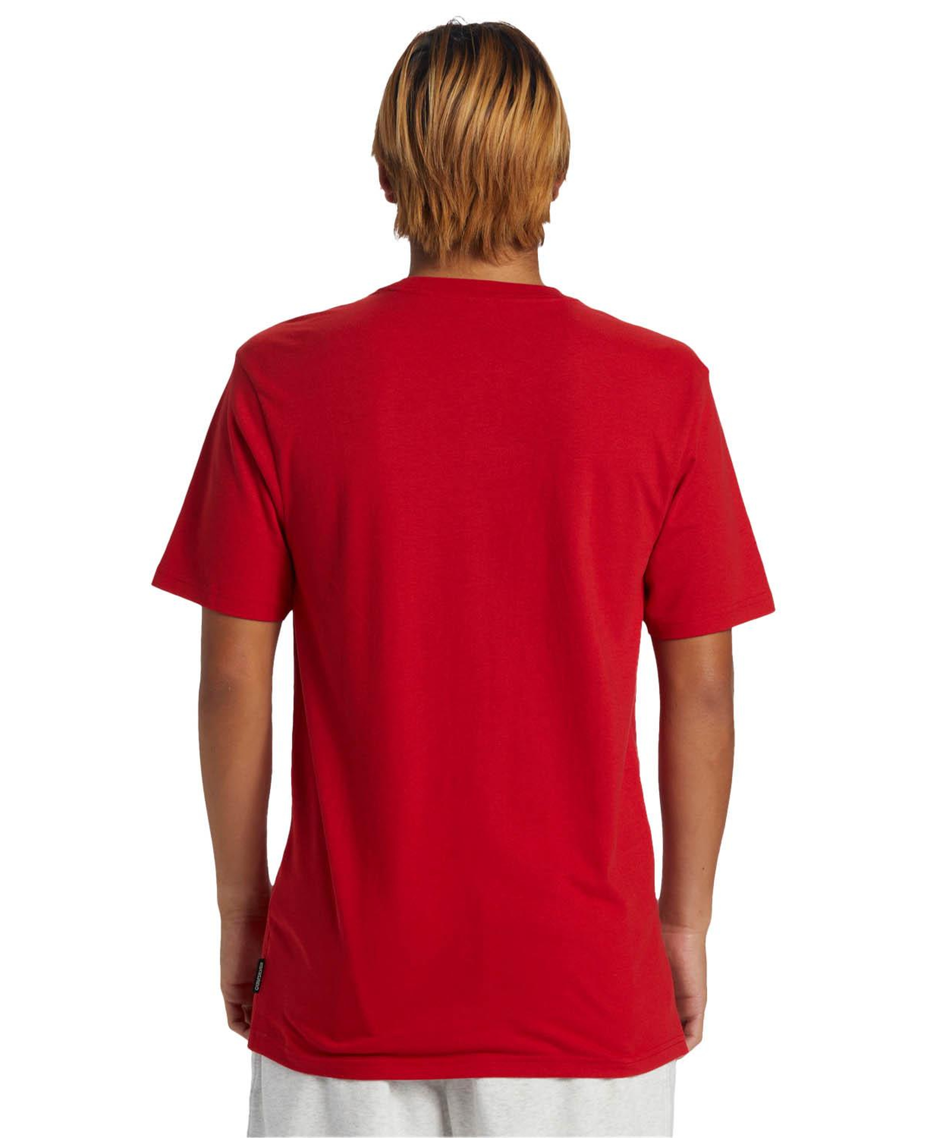 Quiksilver Qs Petroglyph Logo Dna Erkek Kırmızı Tişört