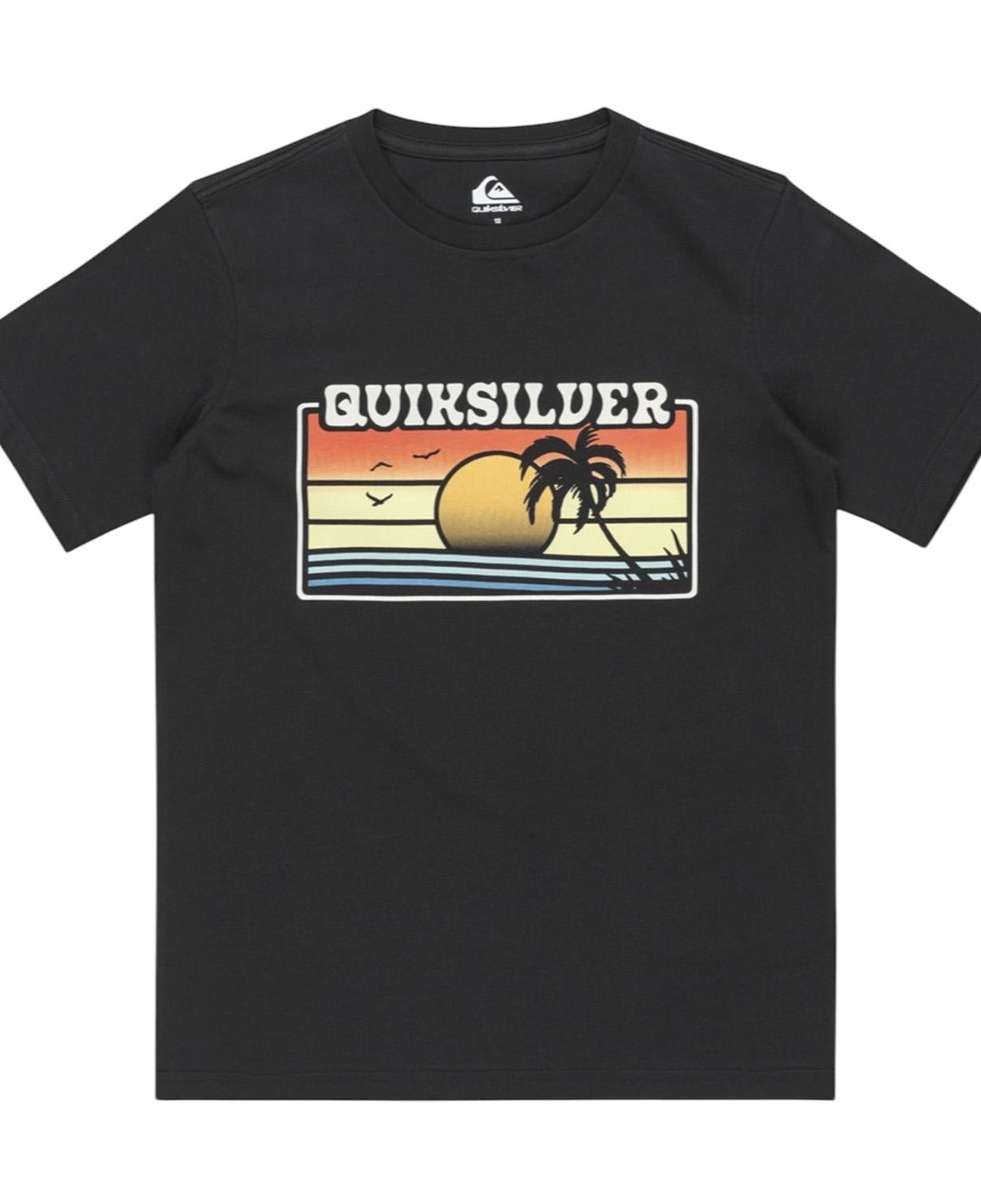 Quiksilver Ev Sun Faded Yth Erkek Çocuk Siyah Tişört
