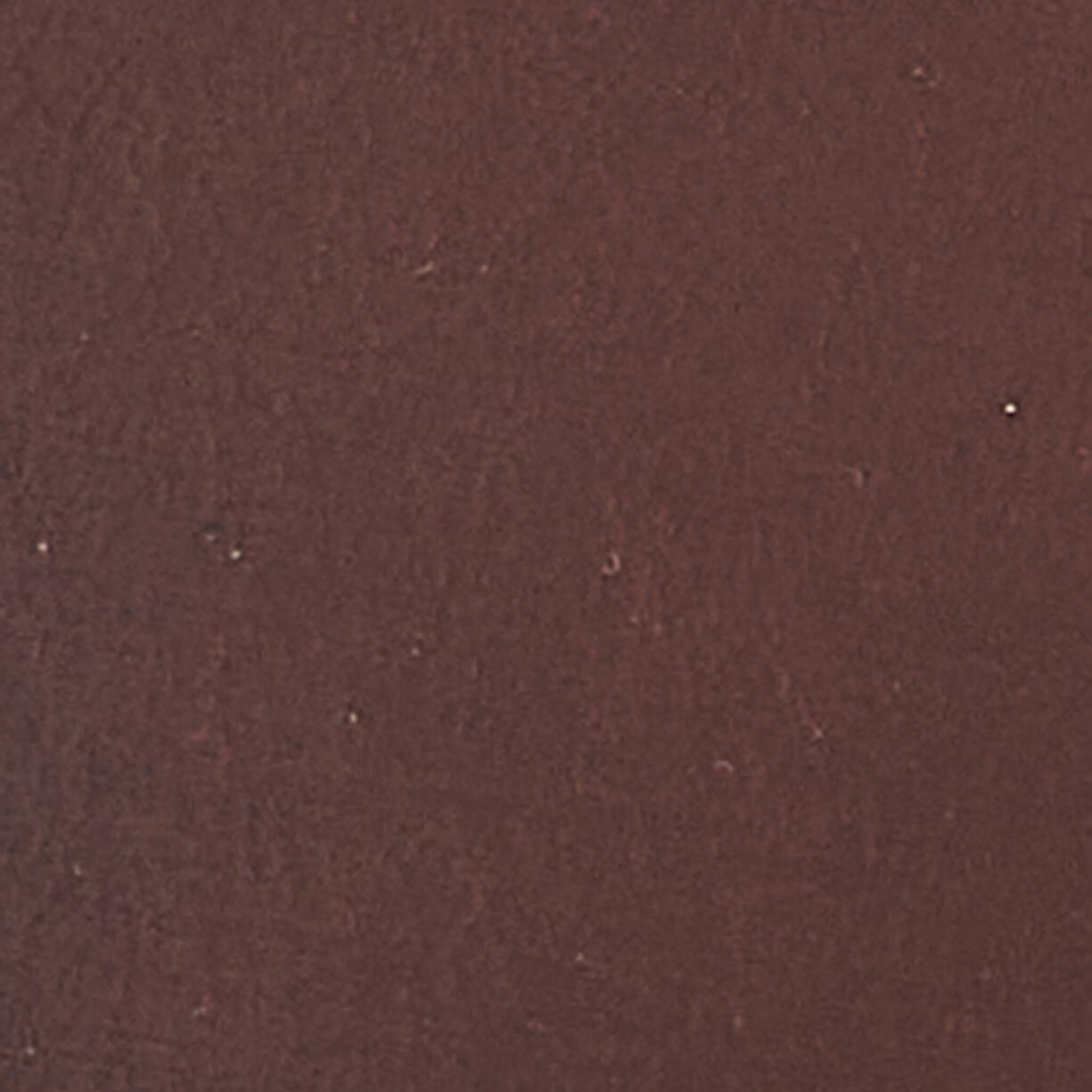 Barbour Double Rivet Kemer