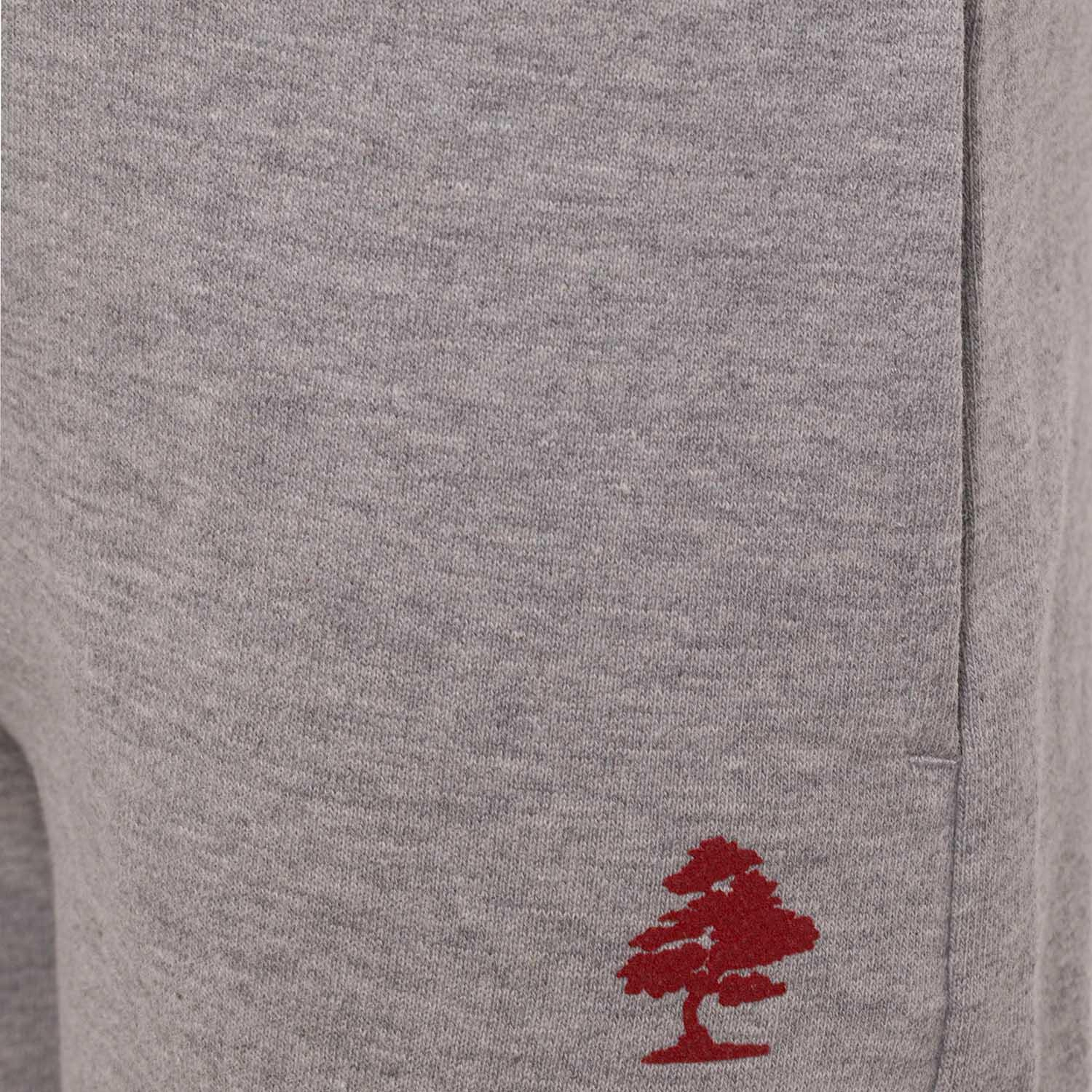 Routefield Soren Unisex Çocuk Gri Şort