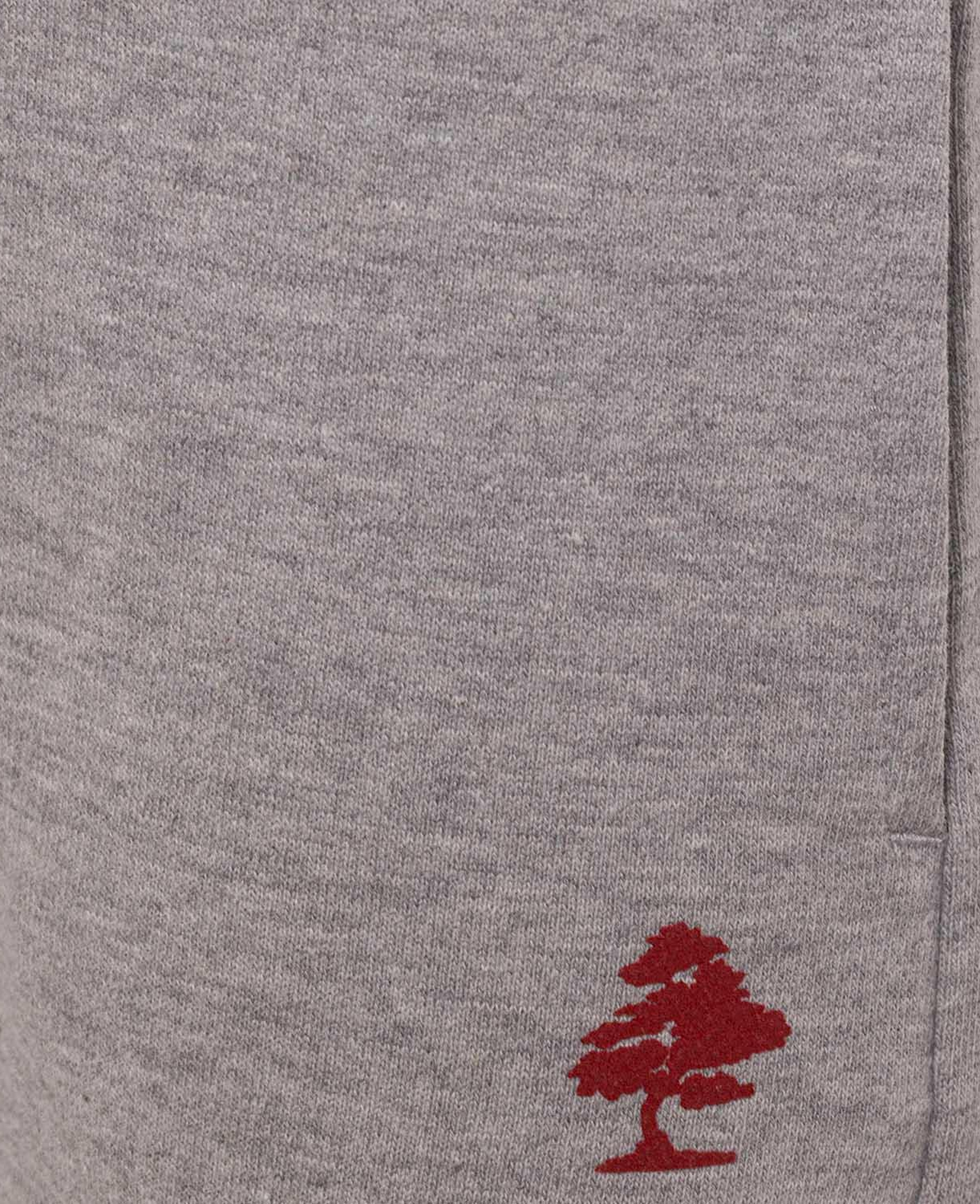 Routefield Soren Unisex Çocuk Gri Şort