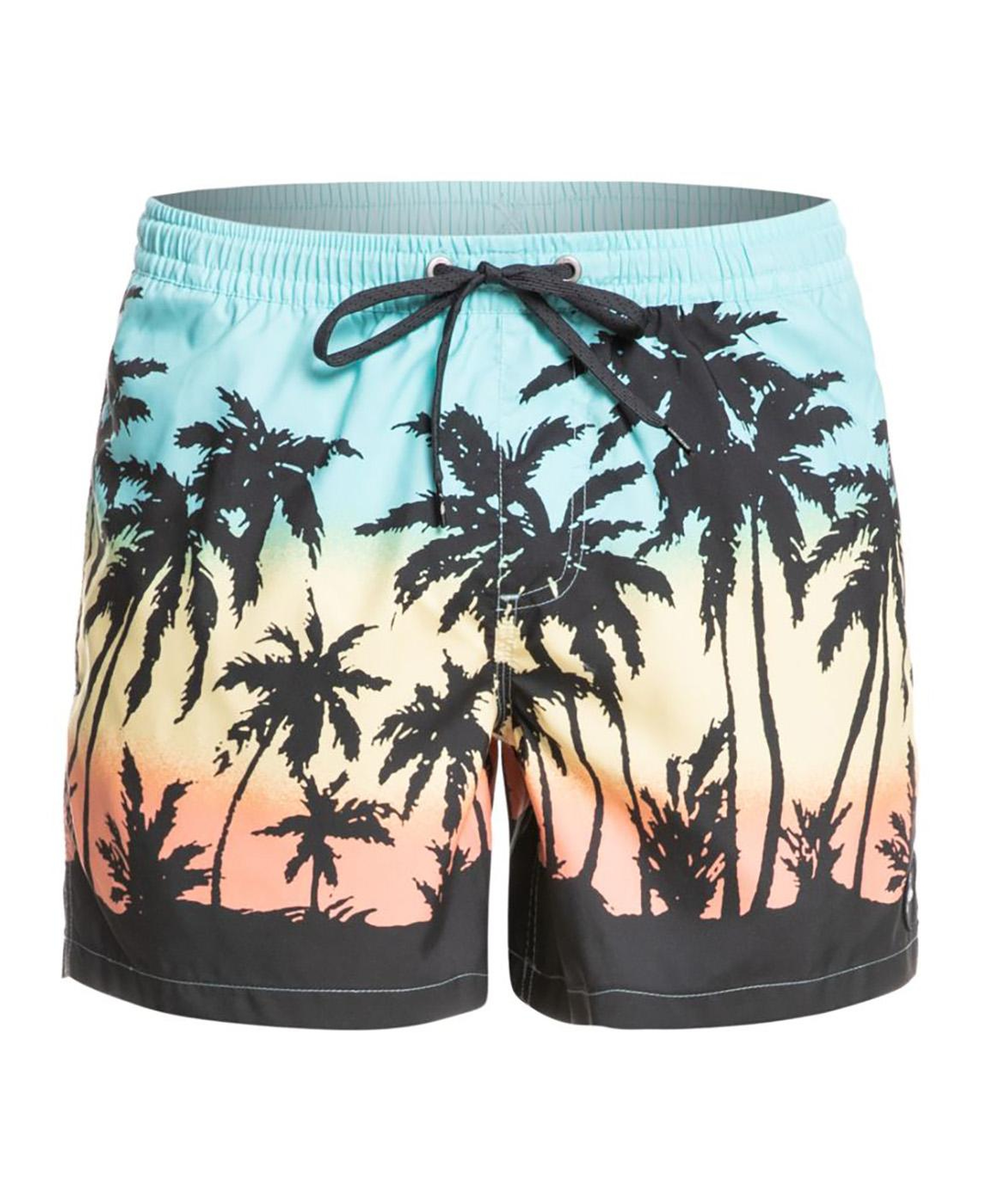 Quiksilver Erkek Volley Short Everyday Paradise Volley 15 Turkuaz