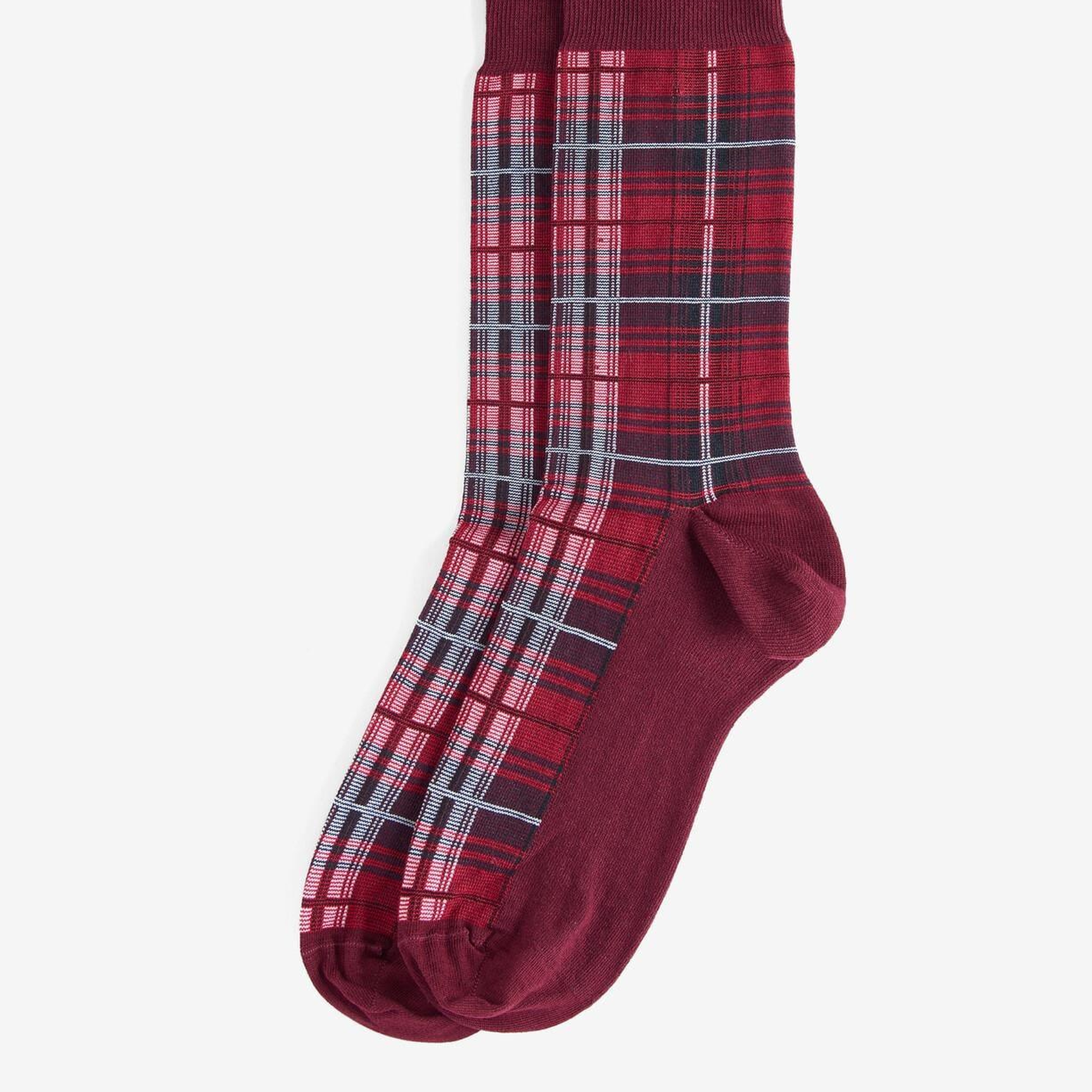 Barbour Blyth Çorap