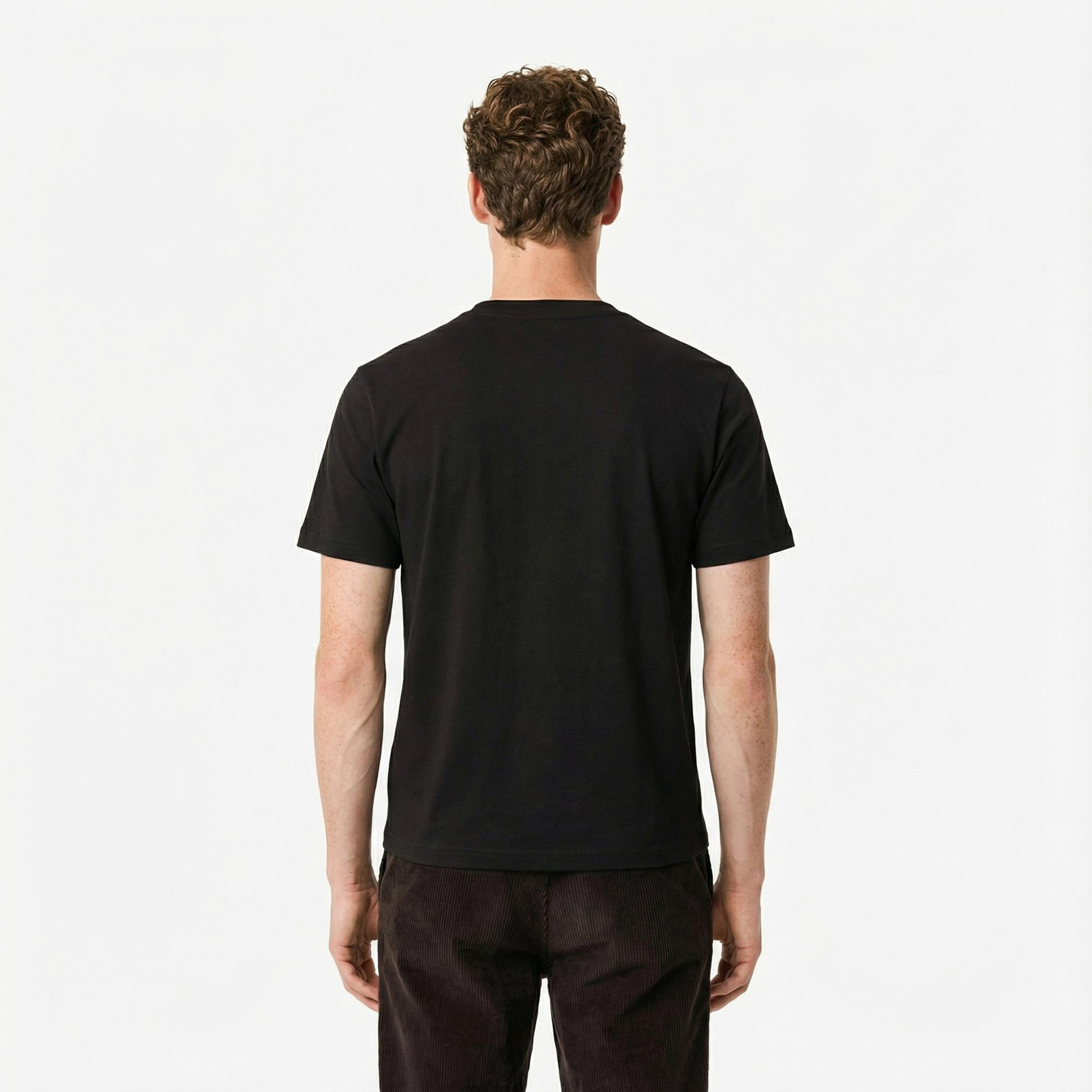 Lacoste Erkek Classic Fit Bisiklet Yaka Kahverengi T-Shirt