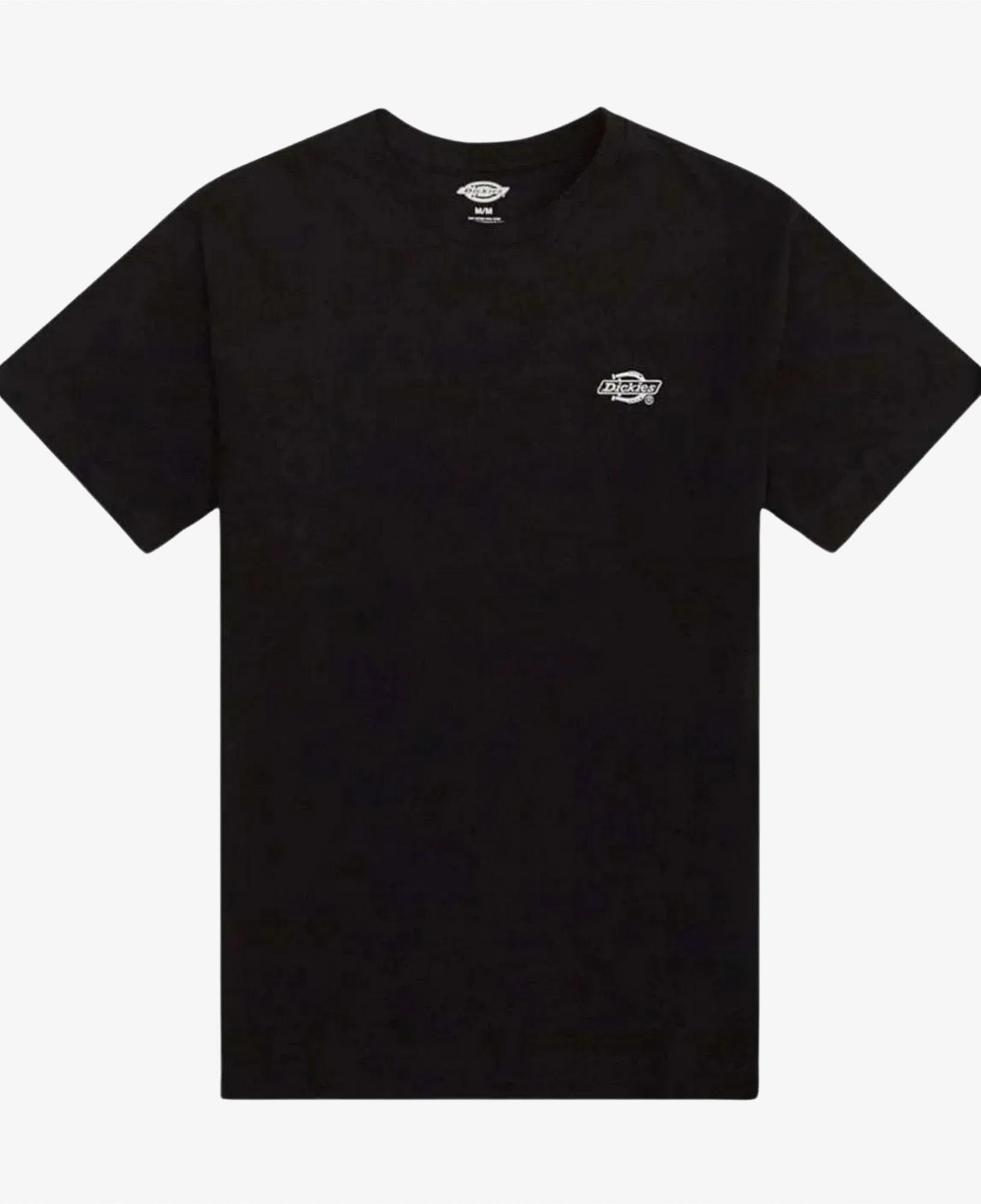 Dickies Summerdale Erkek Siyah T-Shirt