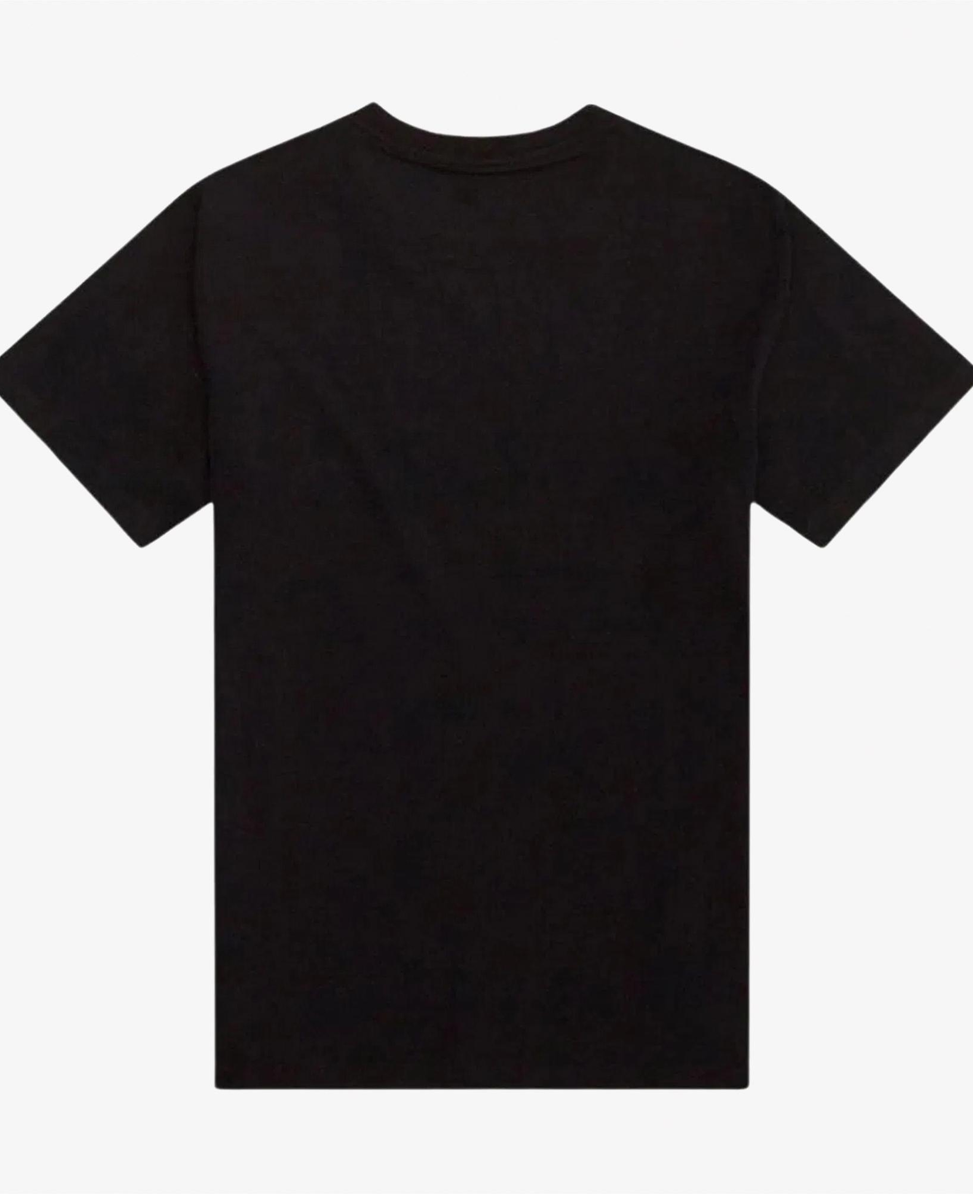 Dickies Summerdale Erkek Siyah T-Shirt