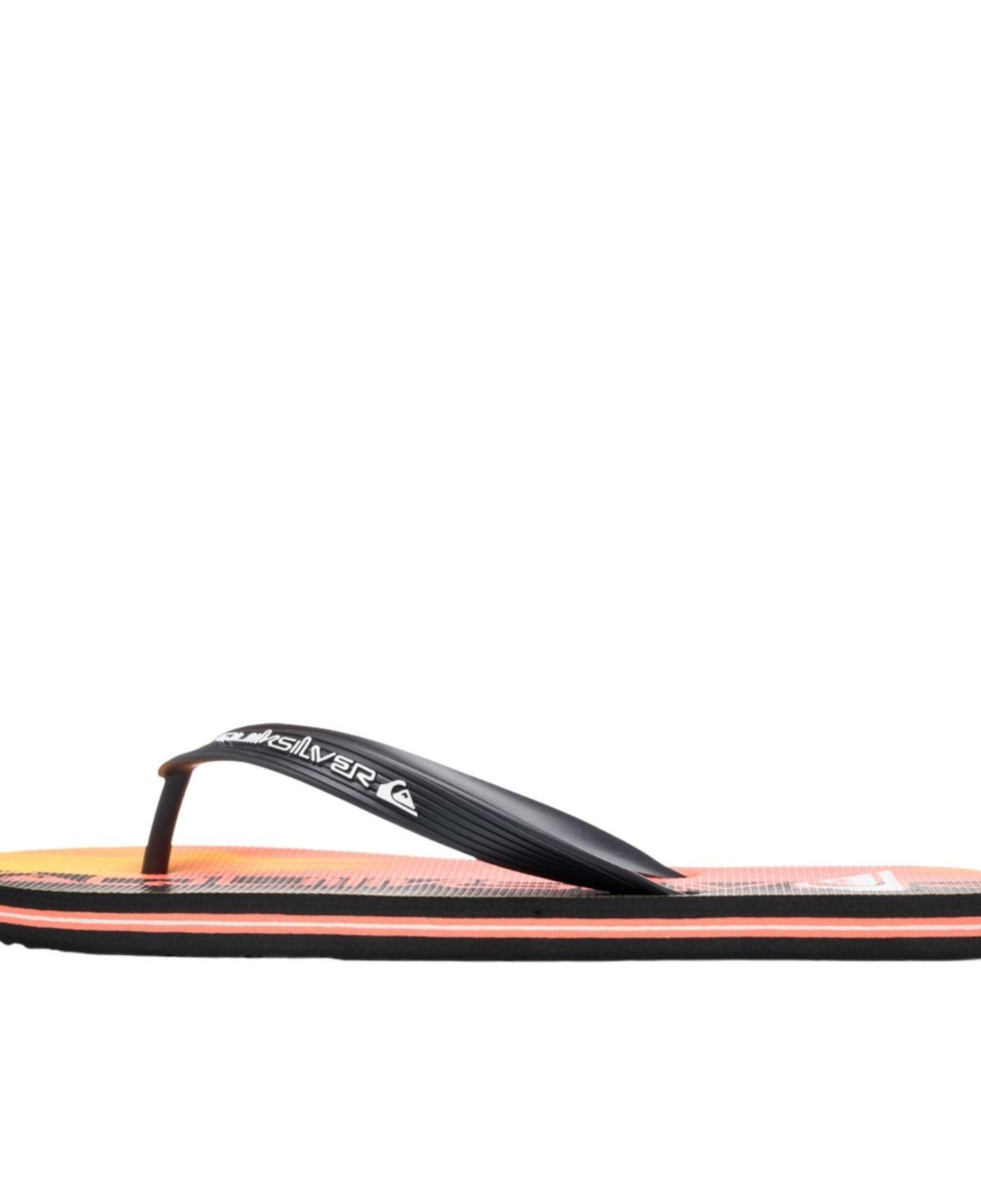 Quiksilver Molokai Art 25 Erkek Terlik