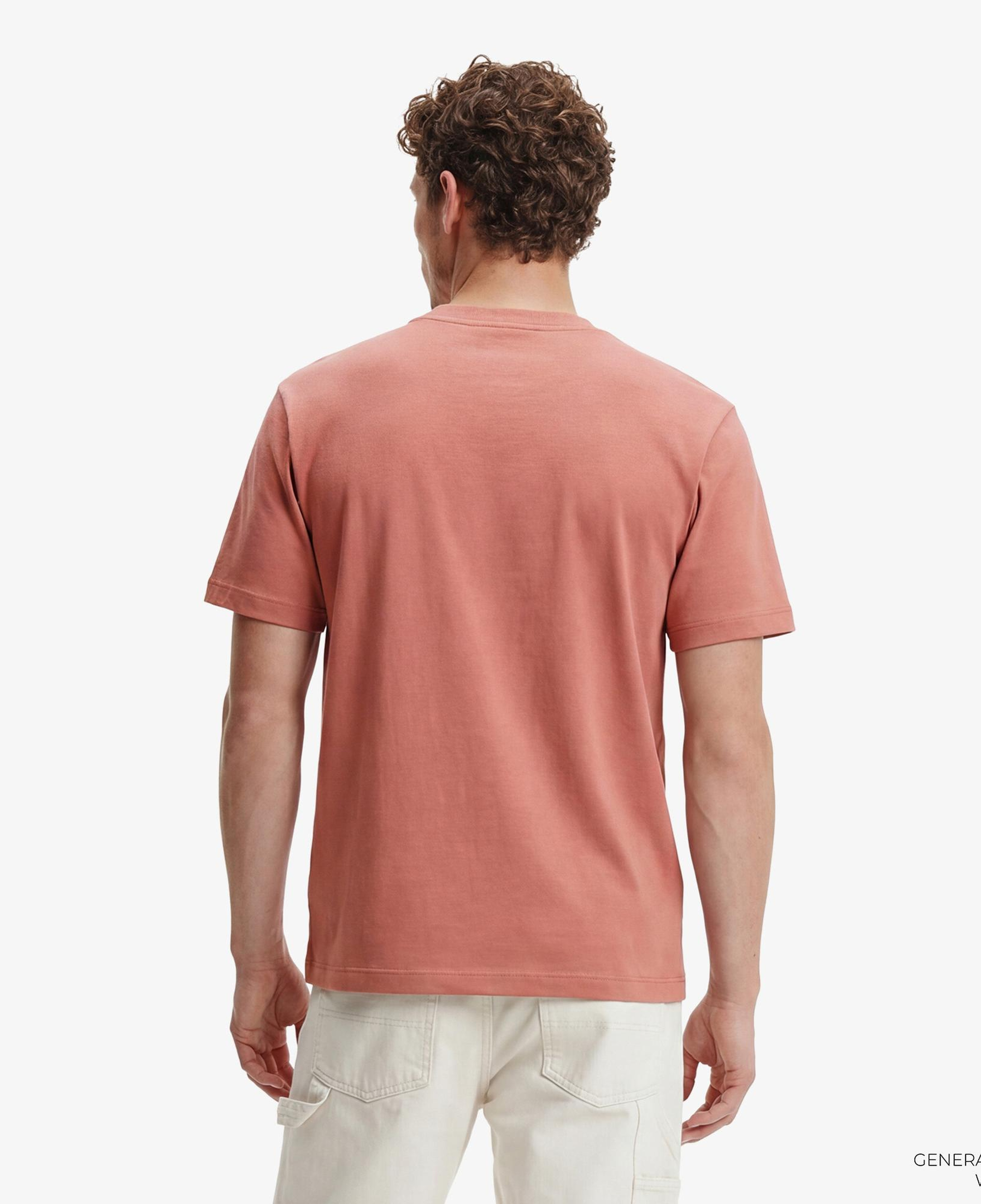 Calvin Klein 20S College Graphic Erkek Kahverengi T-Shirt