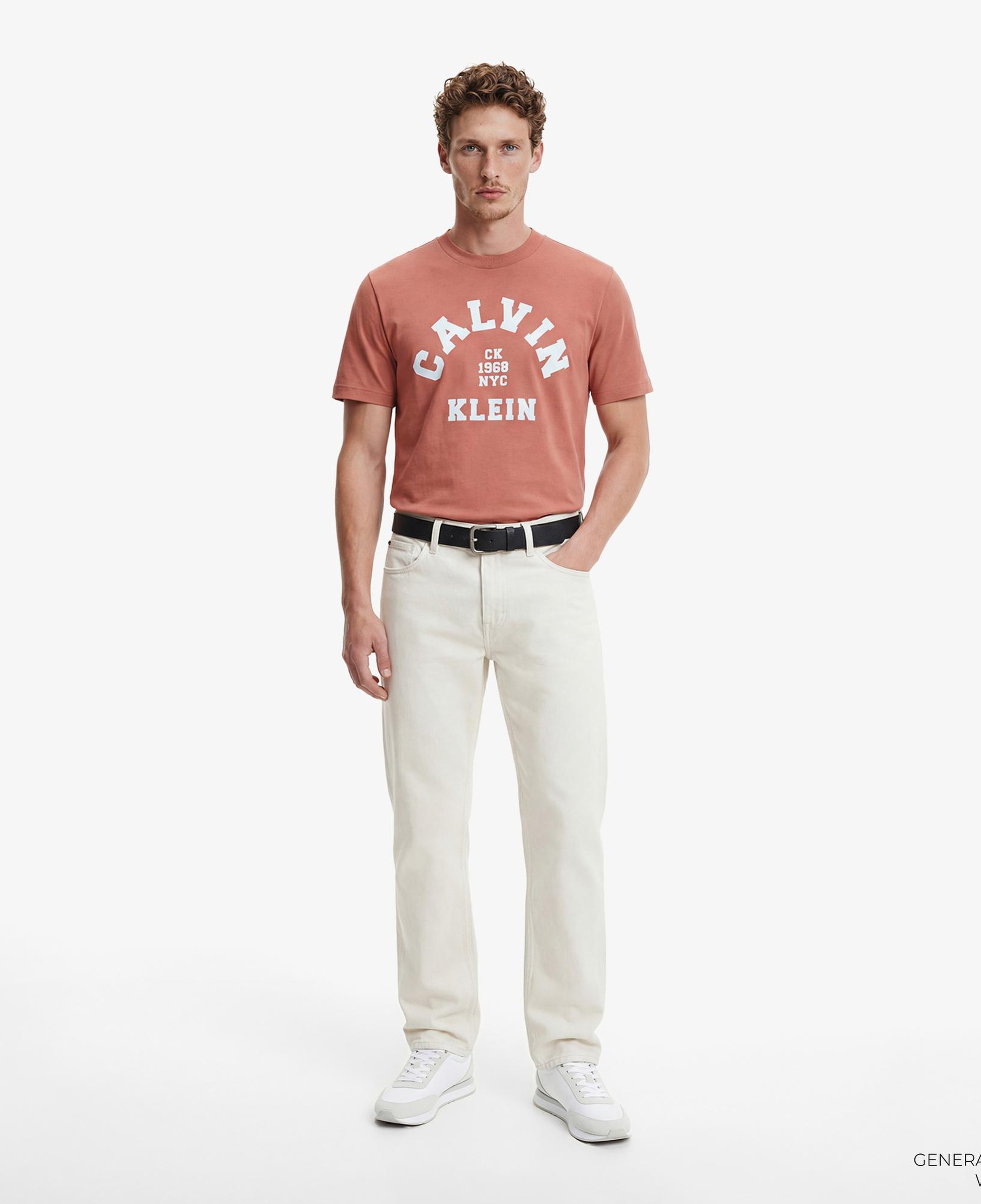 Calvin Klein 20S College Graphic Erkek Kahverengi T-Shirt