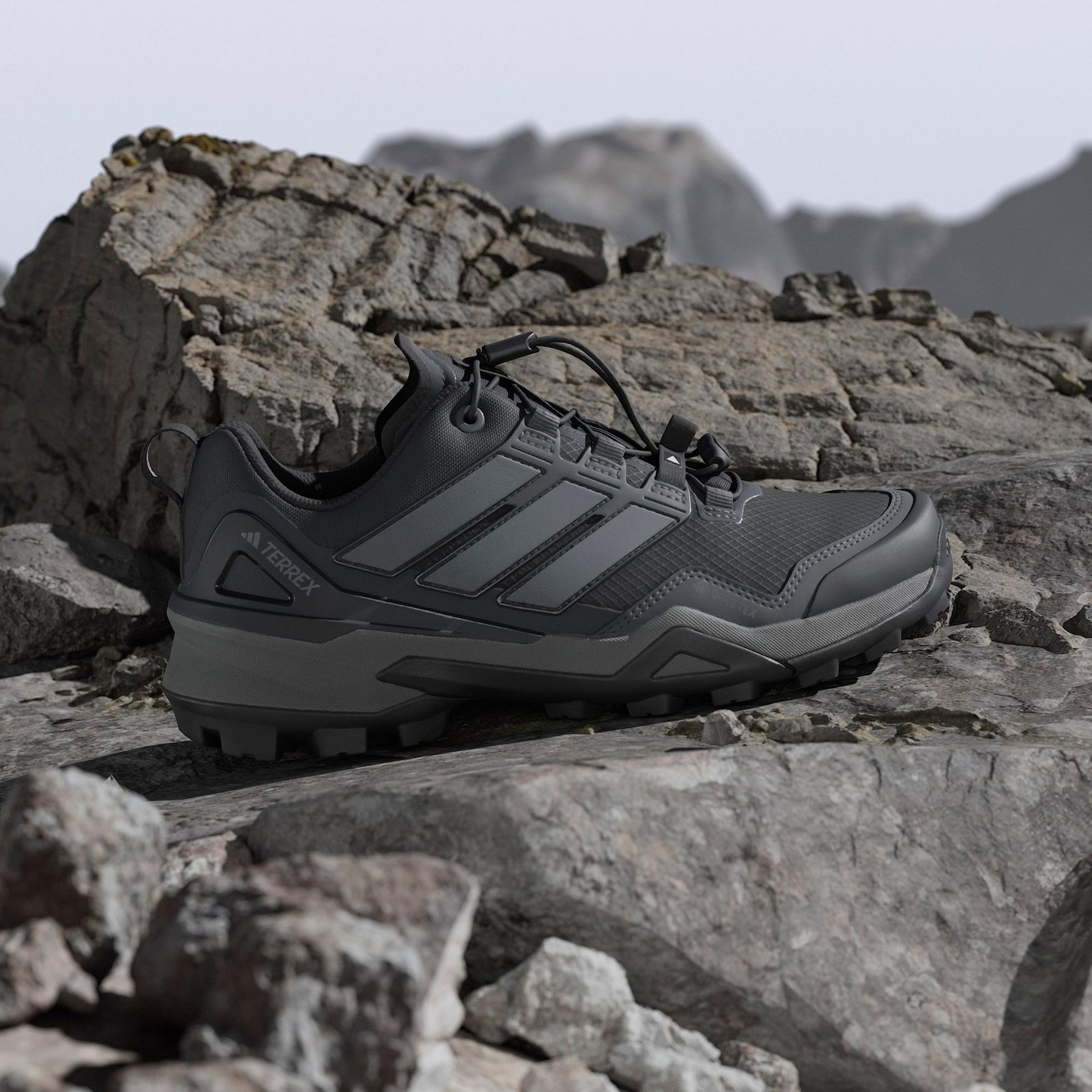 adidas Terrex Skychaser Gore-Tex Kadın Siyah Outdoor Ayakkabı