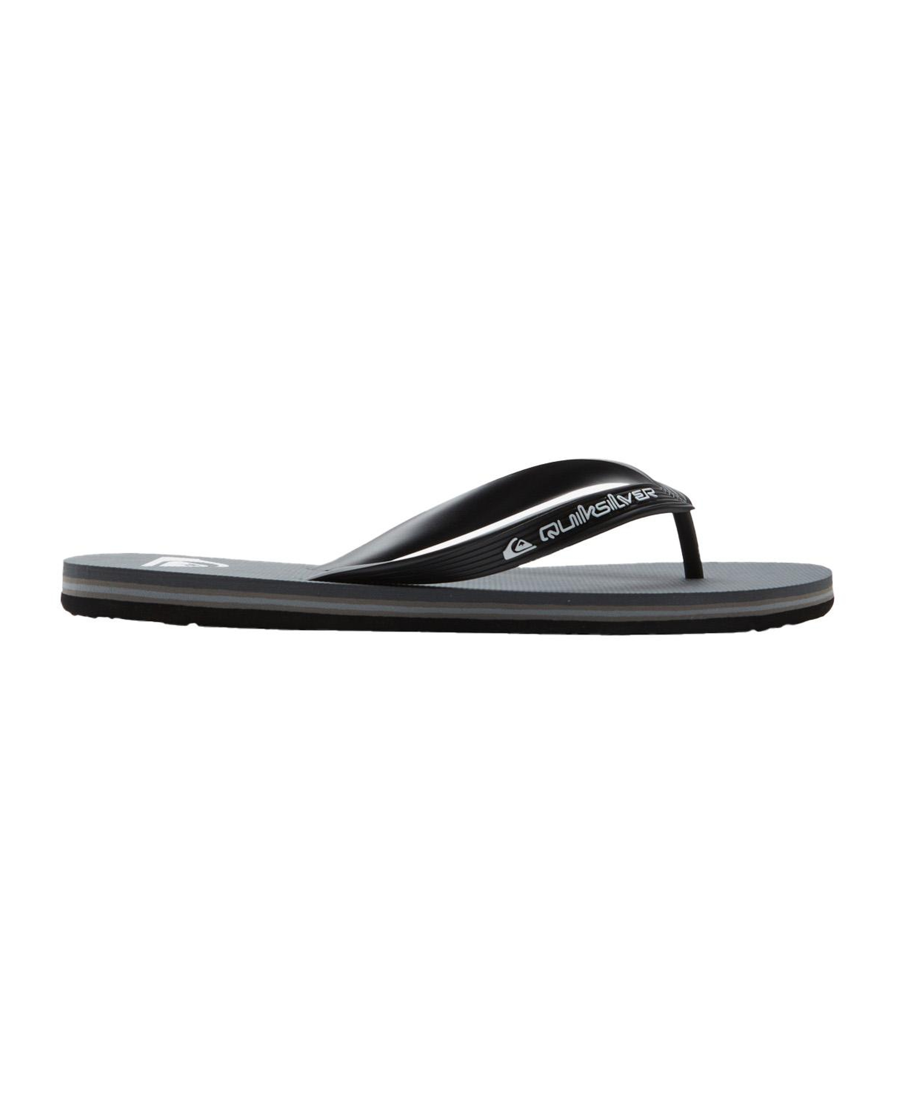 Quiksilver Molokai Core Erkek Gri Terlik