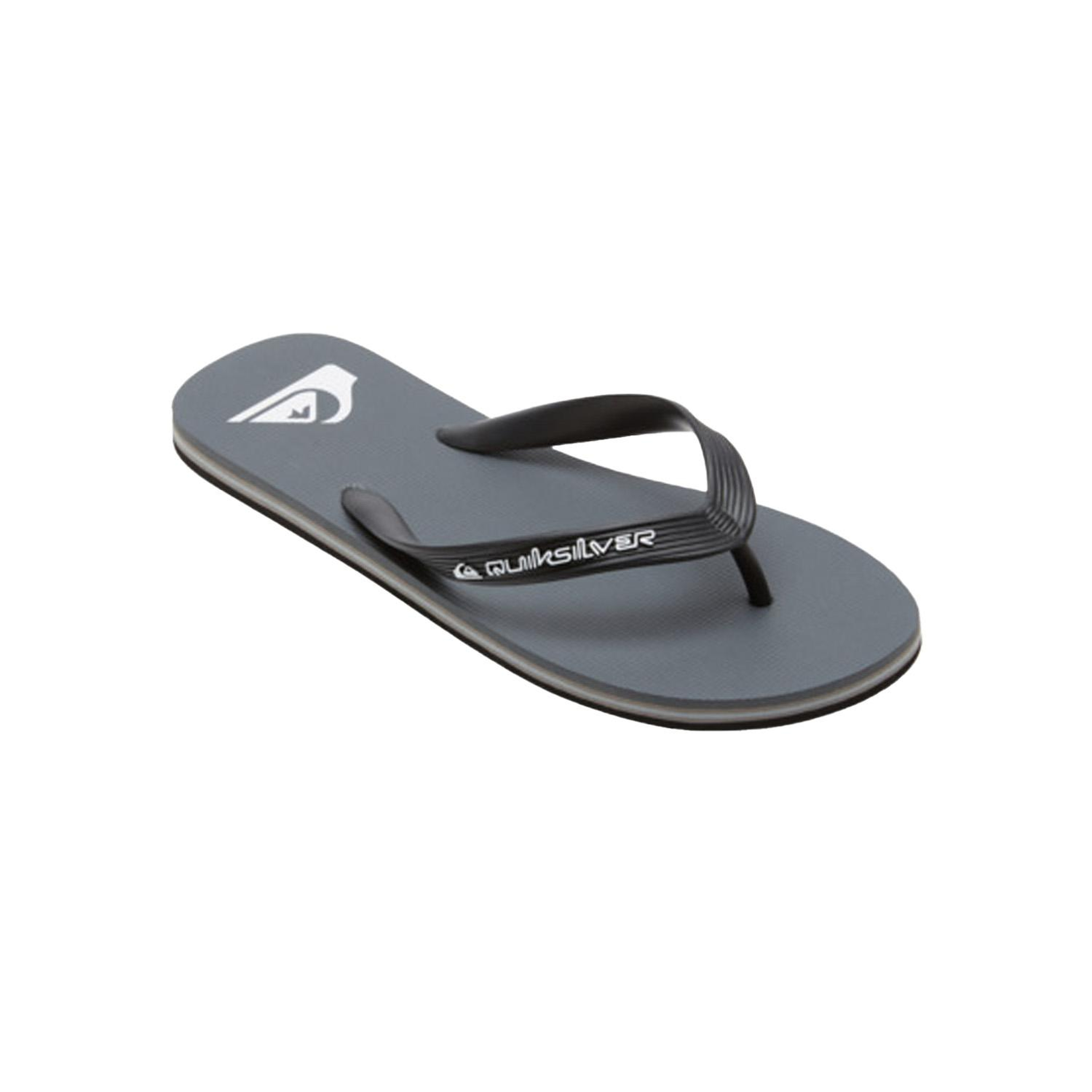 Quiksilver Molokai Core Erkek Gri Terlik