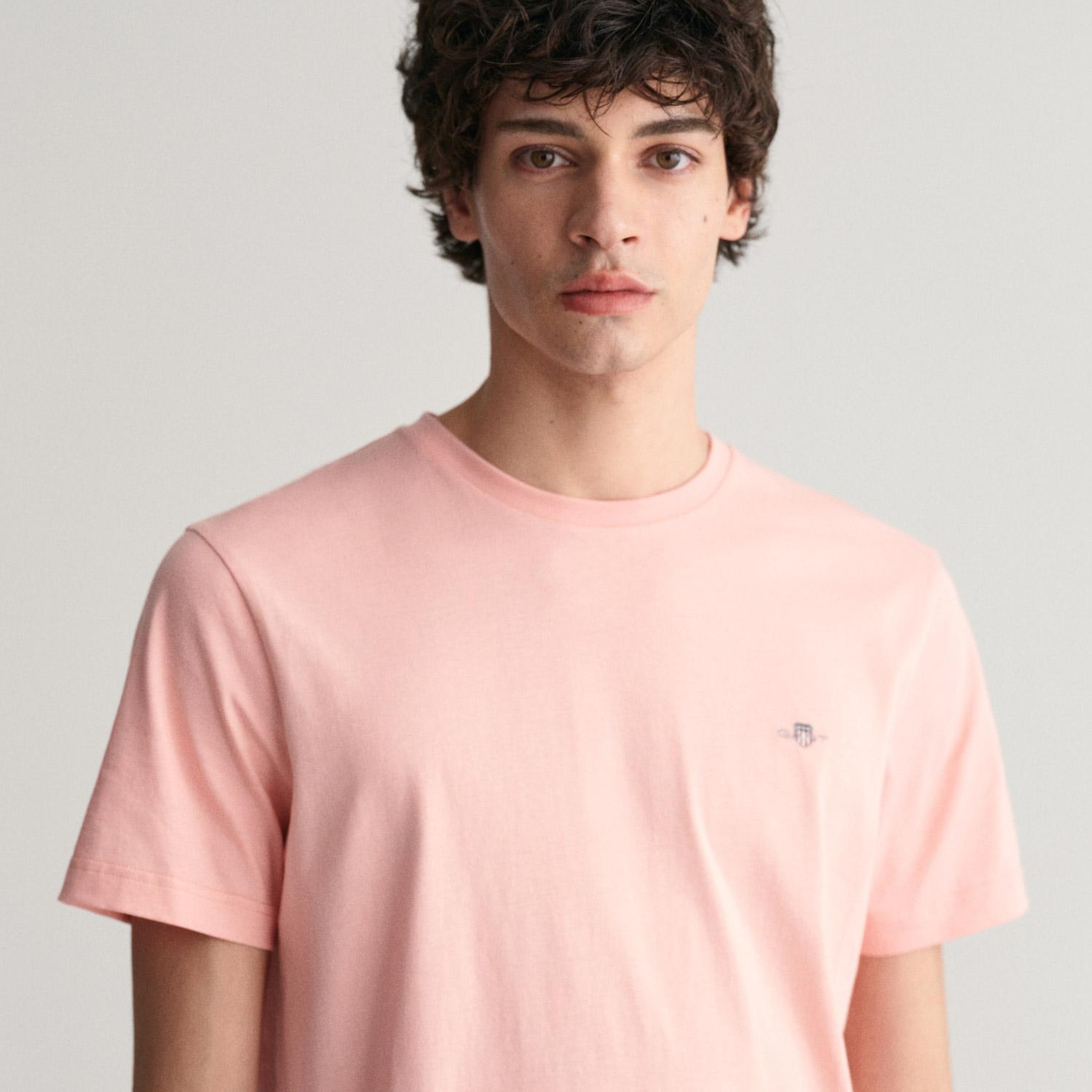 GANT Erkek Pembe Regular Fit Bisiklet Yaka T-Shirt