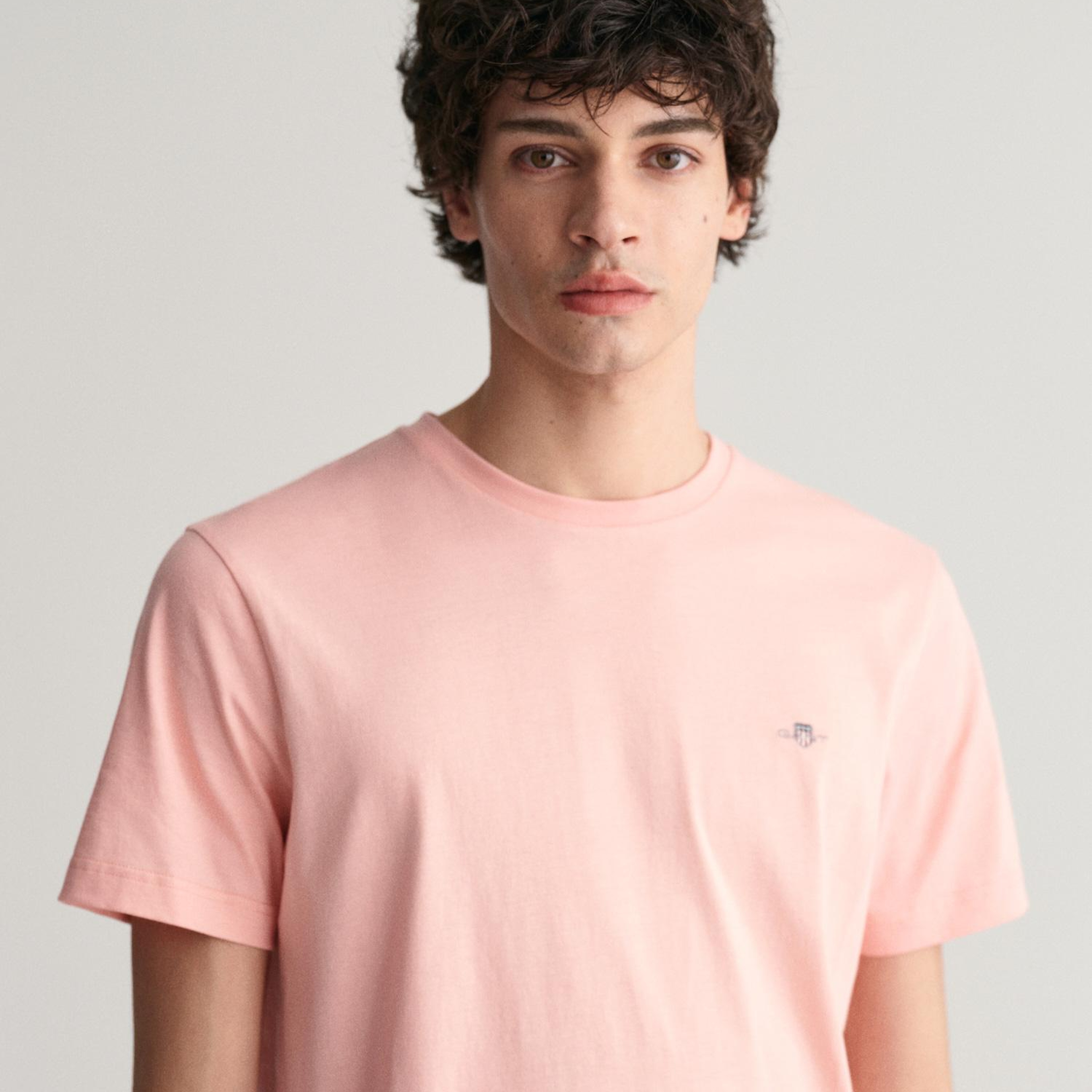 GANT Erkek Pembe Regular Fit Bisiklet Yaka T-Shirt