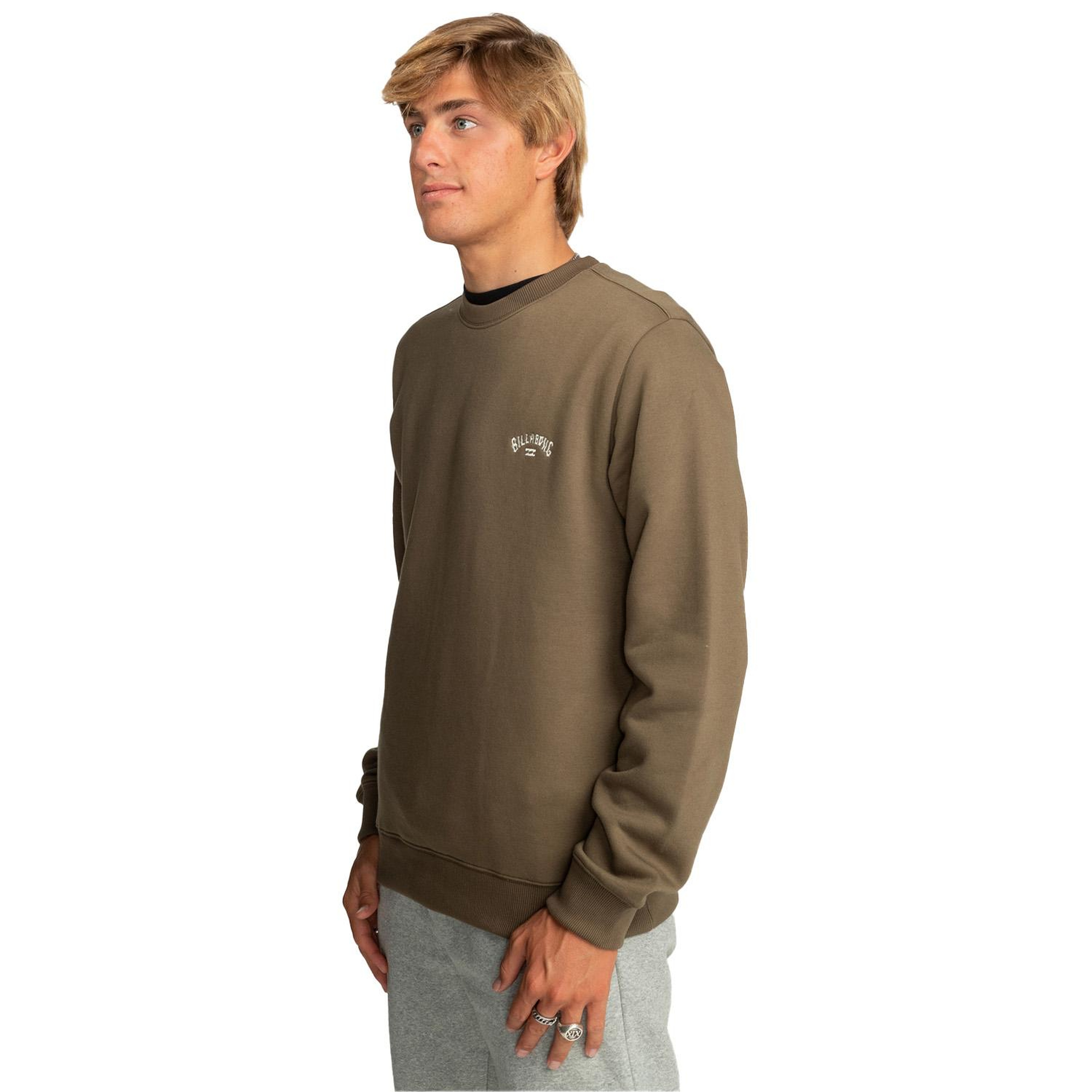 Billabong Arch Cr Erkek Kahverengi Sweatshirt