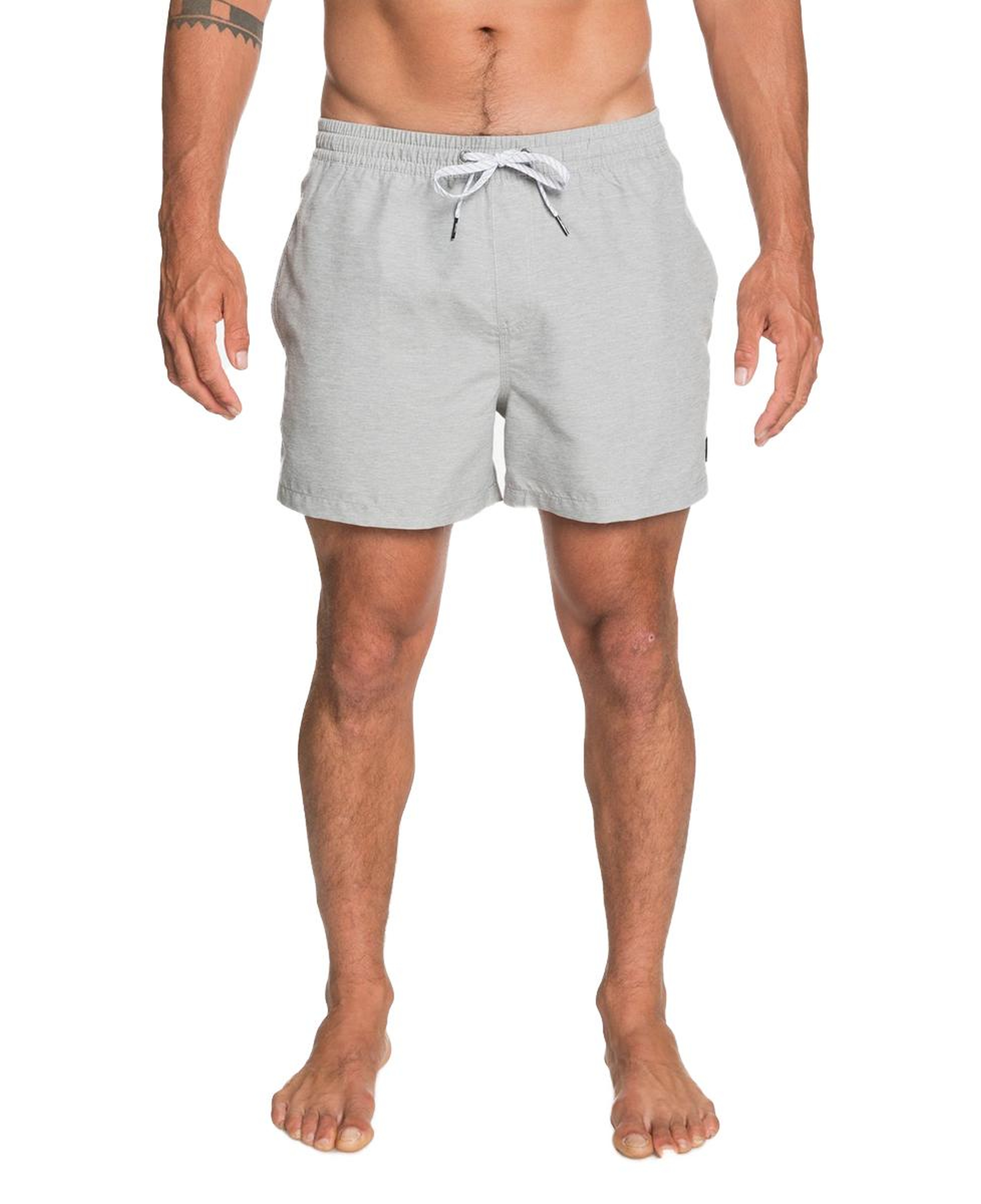 Quiksilver Erkek Volley Short Everyday 15 M Jamv Gri