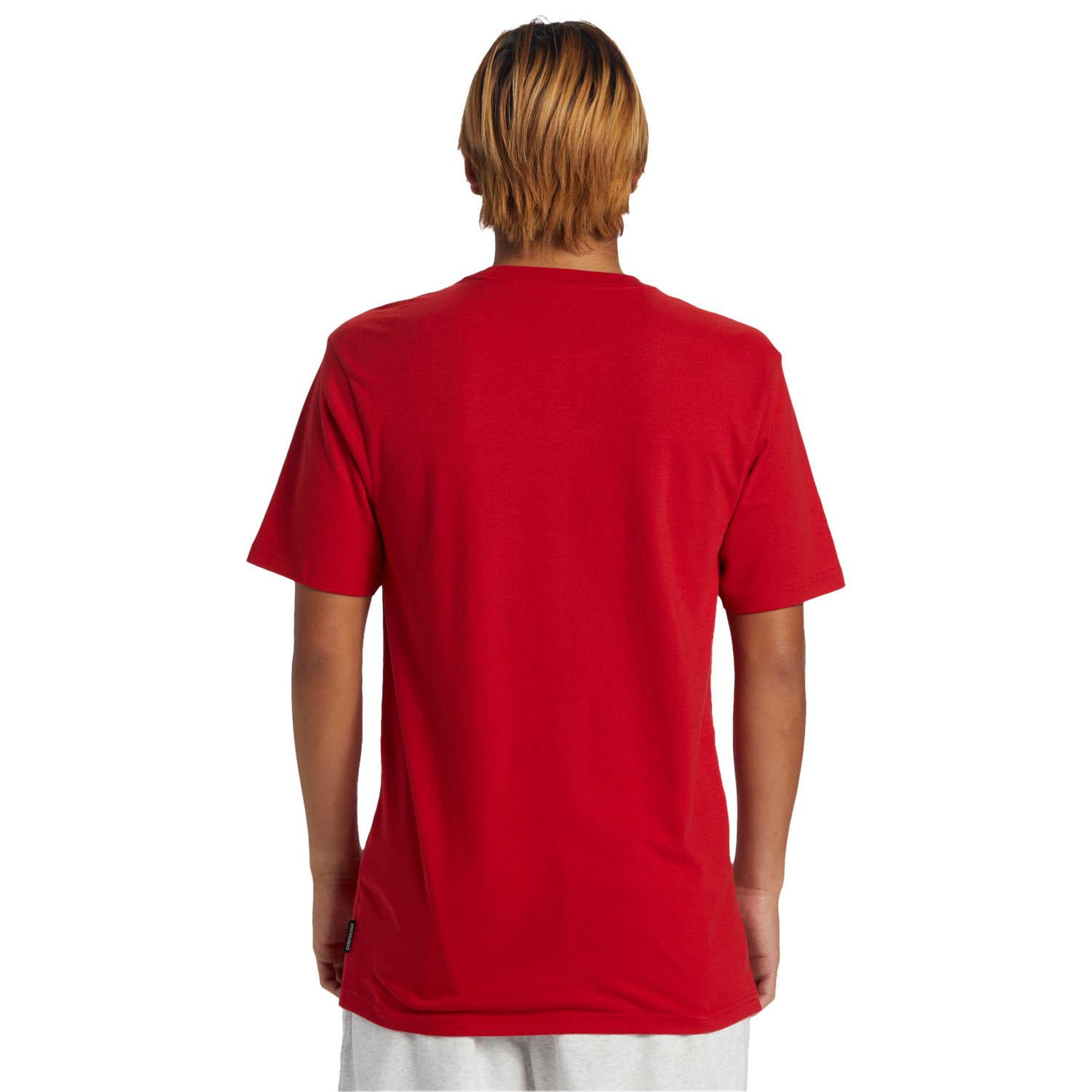 Quiksilver Qs Petroglyph Logo Dna Erkek Kırmızı Tişört