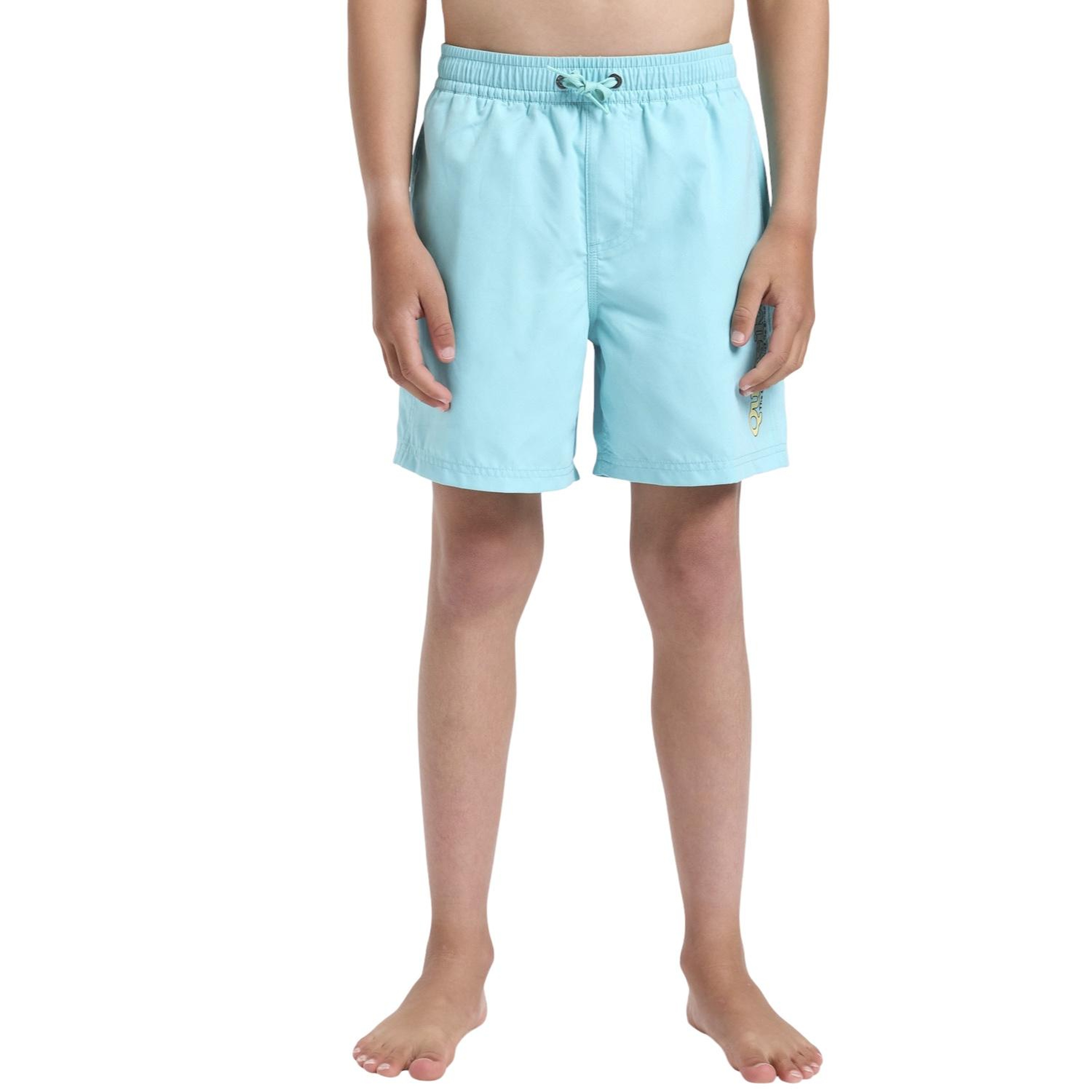 Quiksilver Spl Fineline Volley Yth 14 Erkek Çocuk Mavi Volley Short