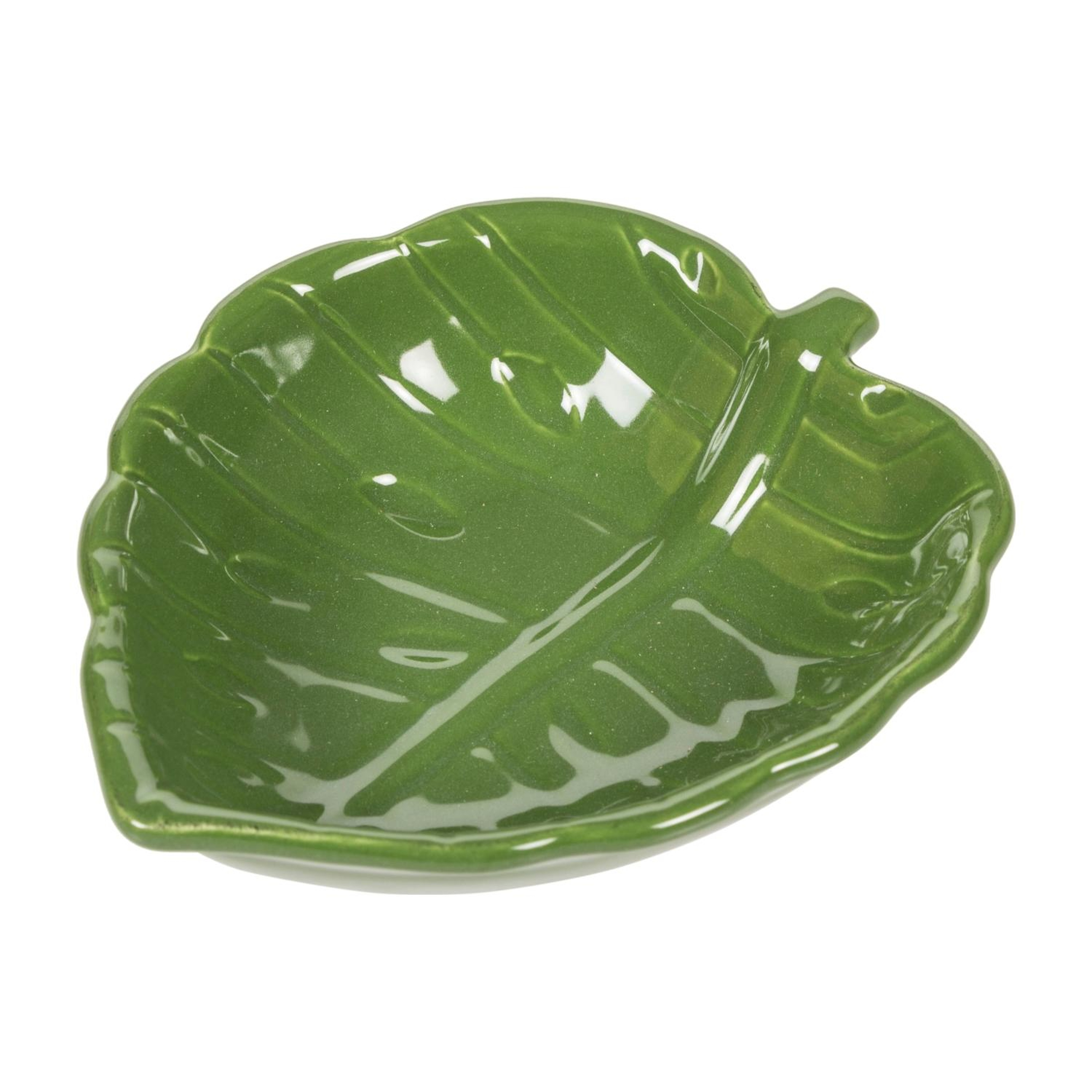 MONSTERA  CEREZLIK 14X 12,5X4 CM