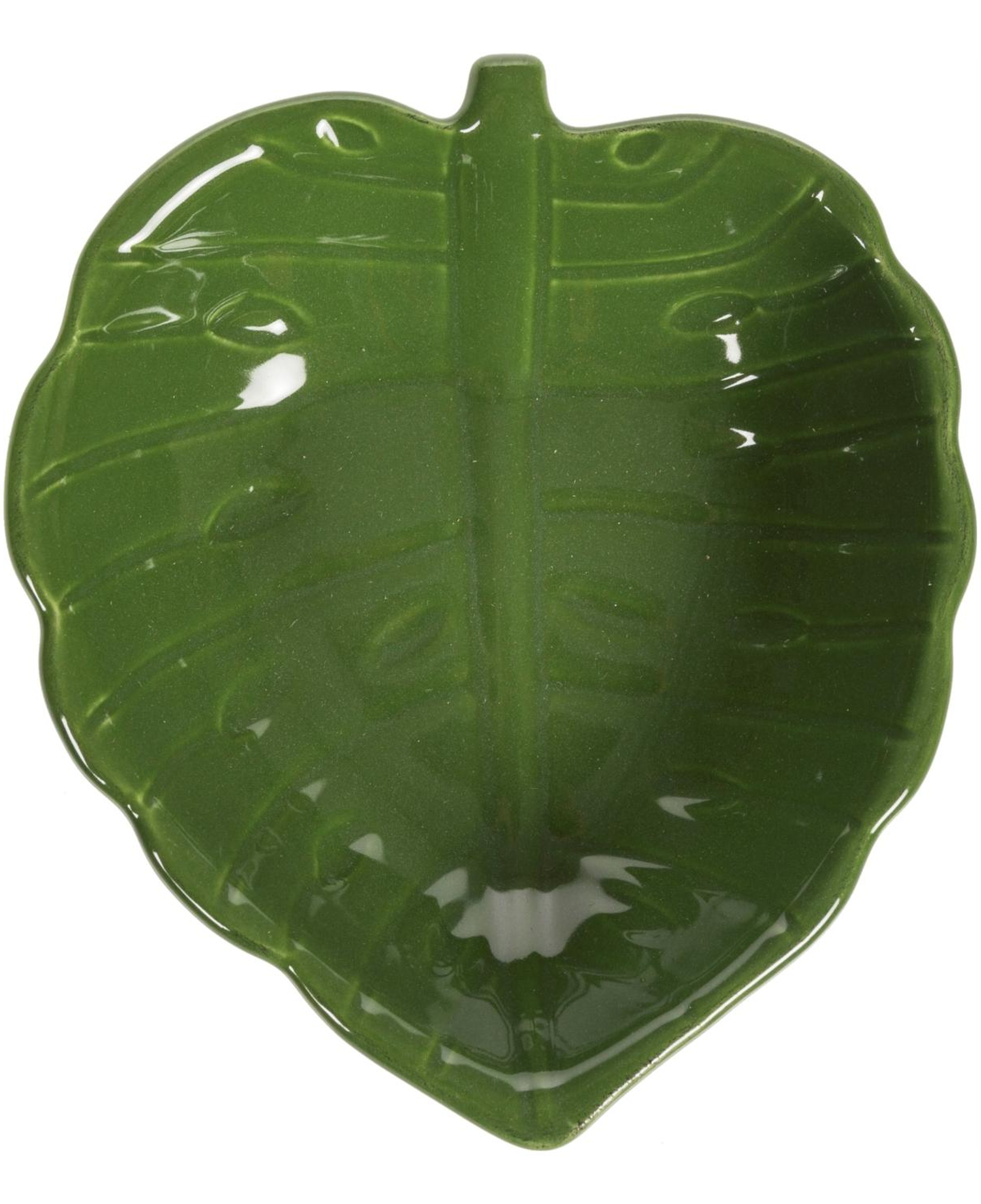 MONSTERA  CEREZLIK 14X 12,5X4 CM