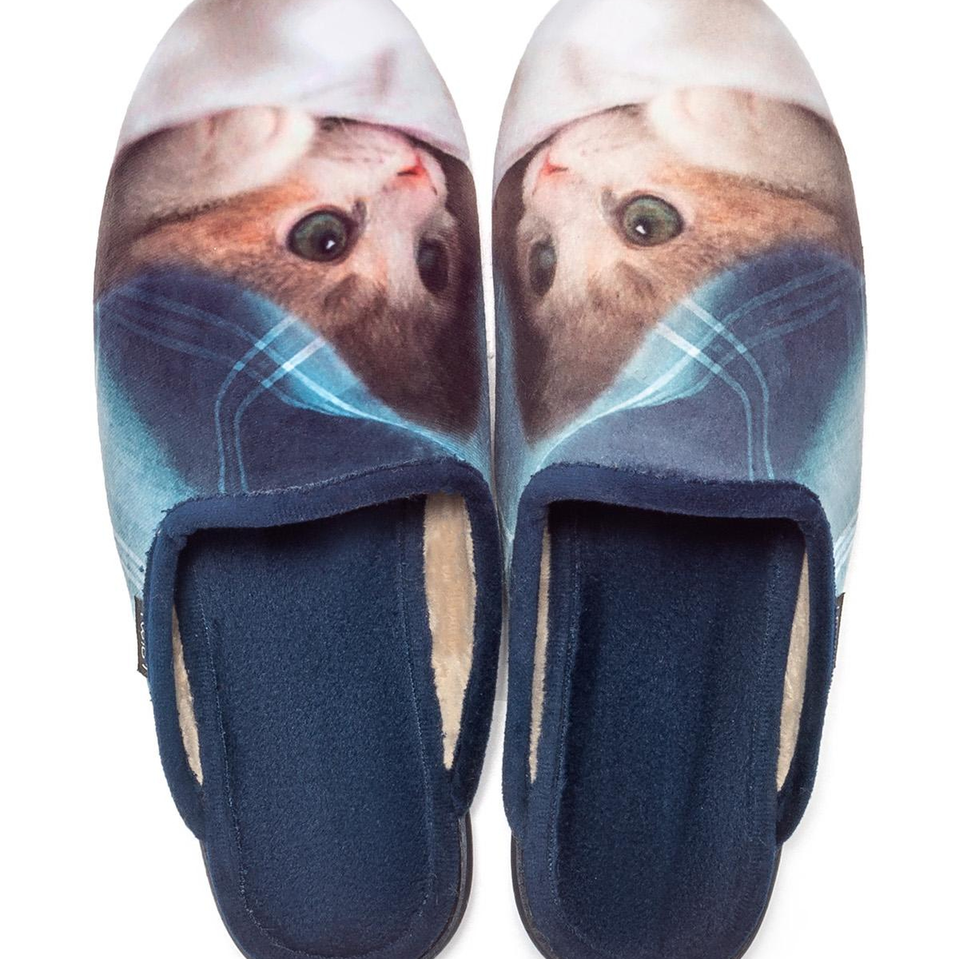 Kitten Kadın Ev Terliği Mavi 36/41