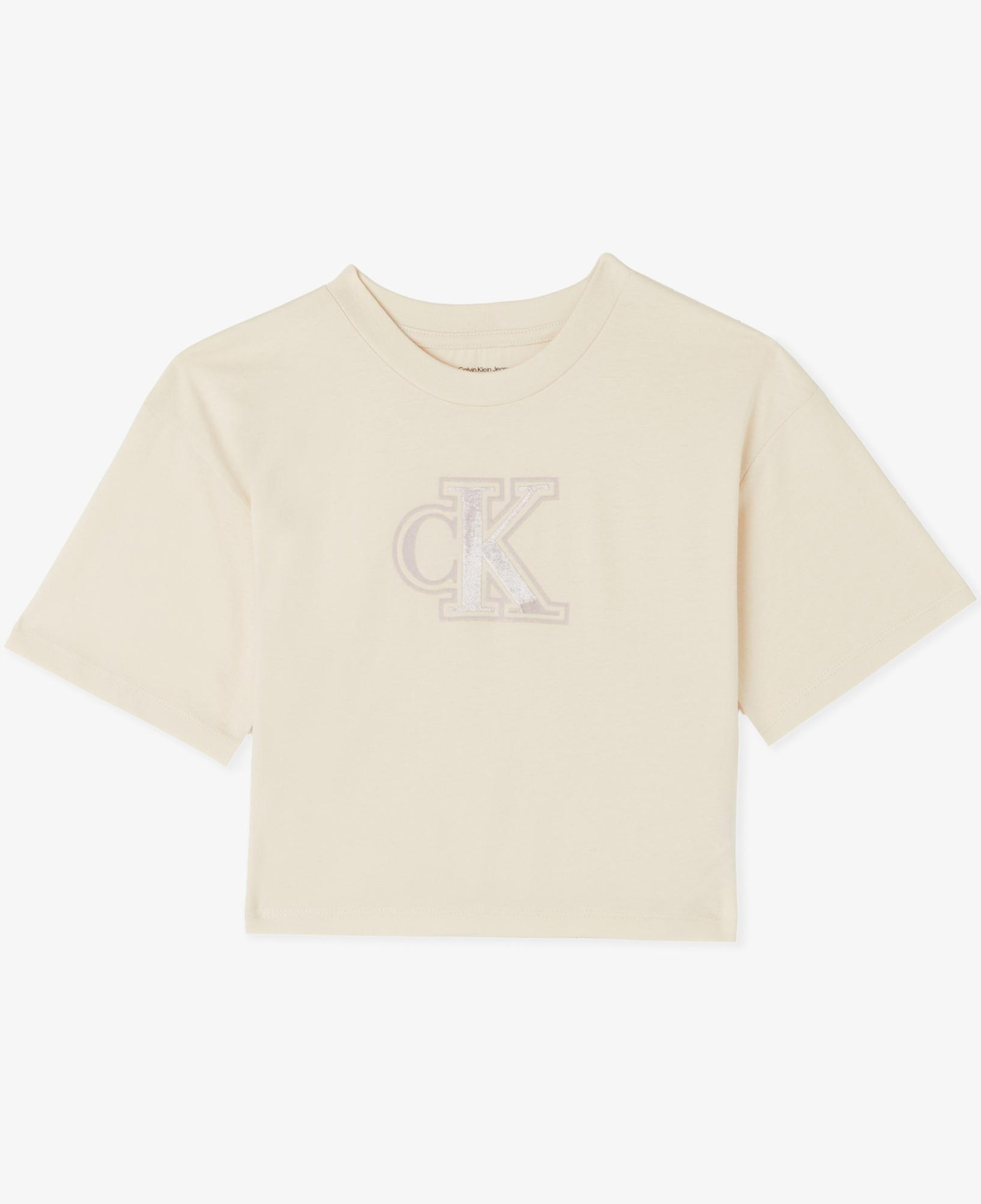 Calvin Klein Velvet Monogram Boxy Çocuk Gri T-Shirt