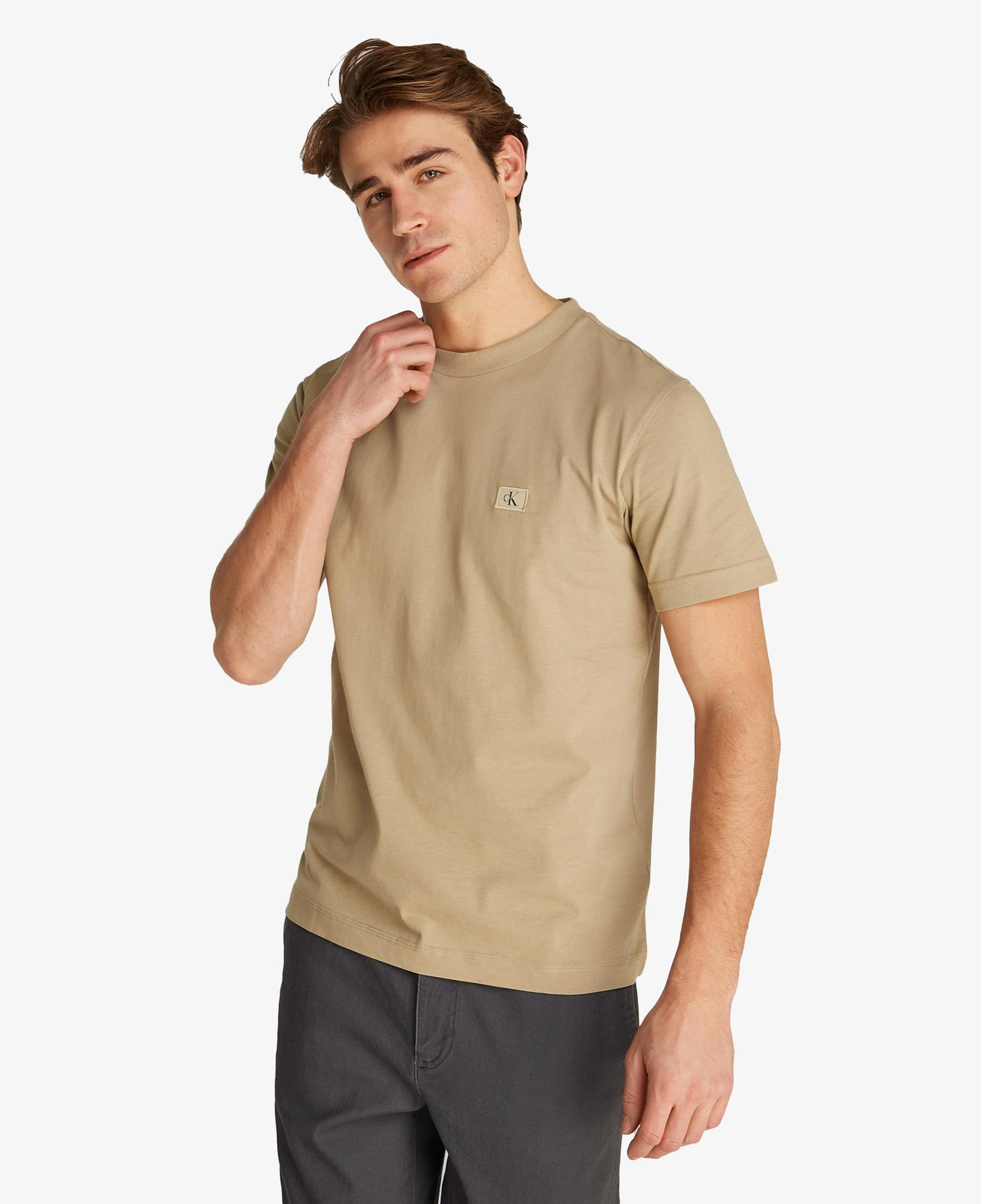 Calvin Klein Regular Erkek Kahverengi T-Shirt