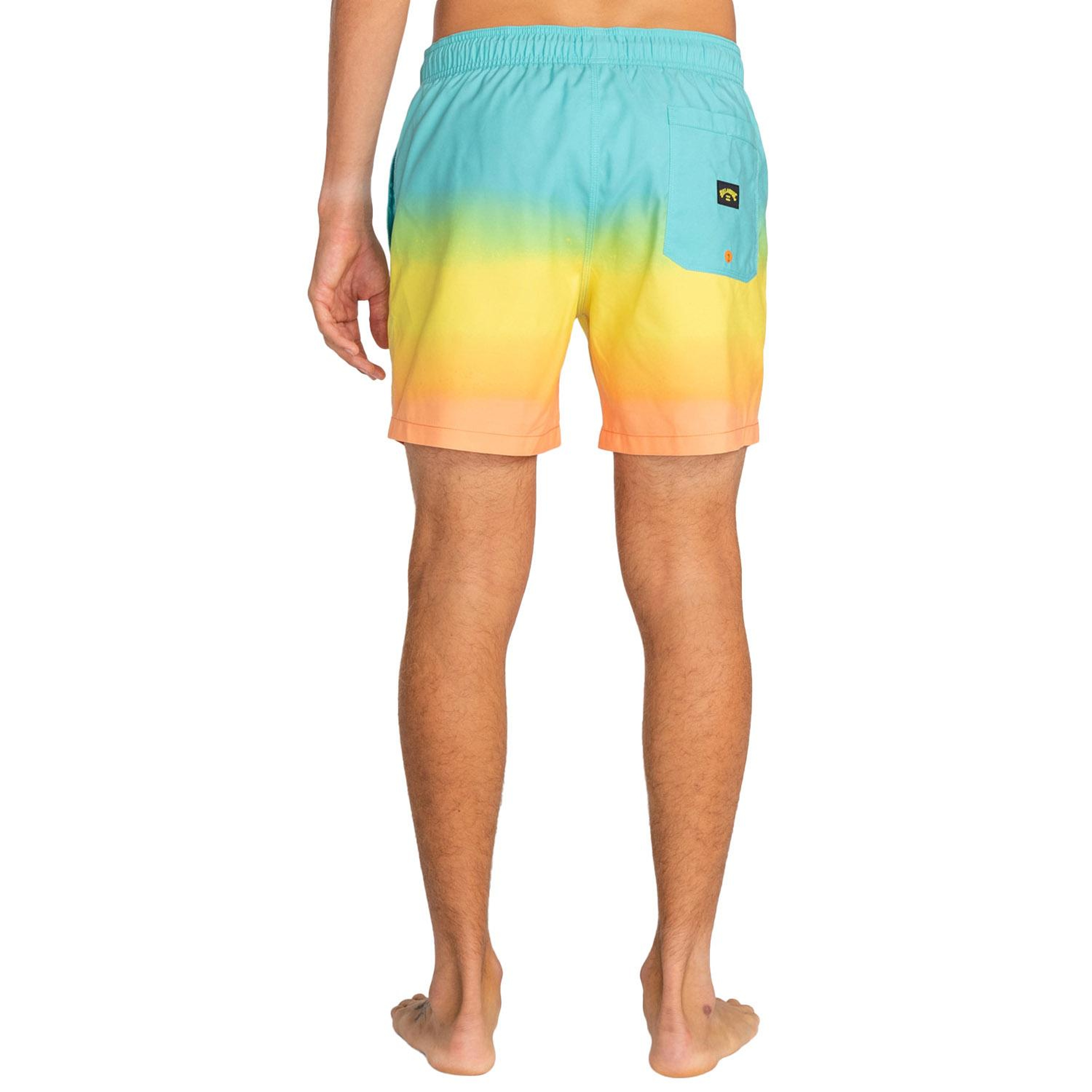 Billabong All Day Fade Lb Erkek Volley Short