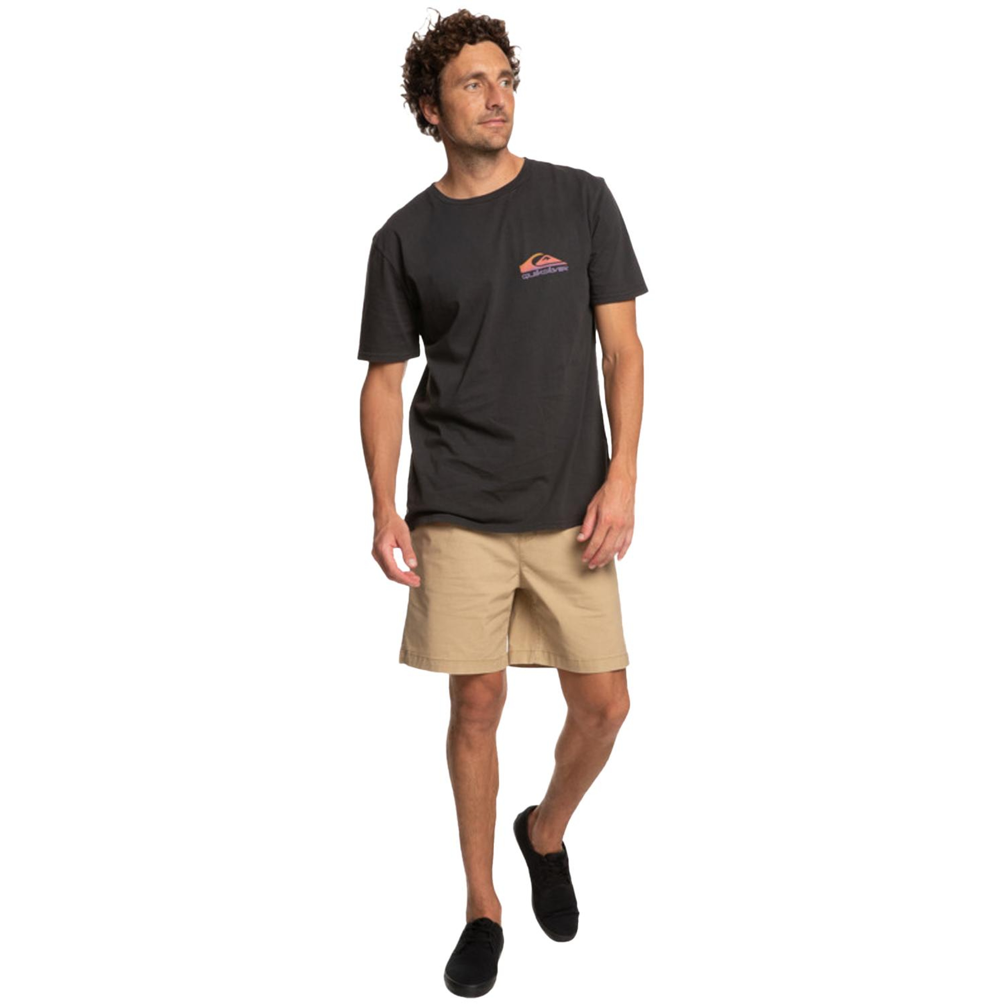 Quiksilver Pastimeparadise Erkek Siyah Tişört